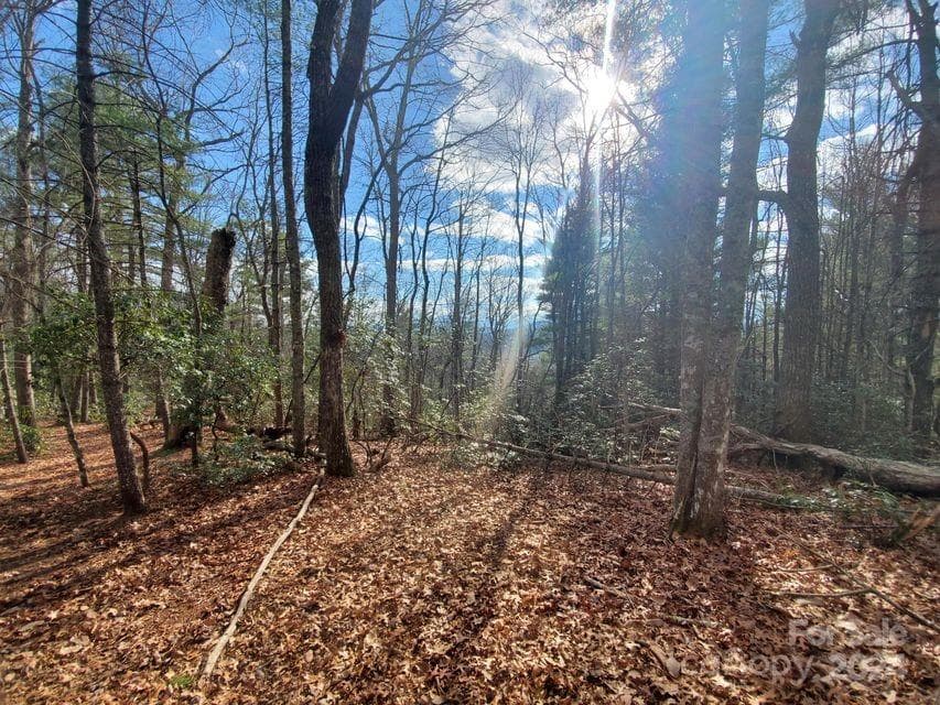 Lot at Bakersville, photo 27 of 38