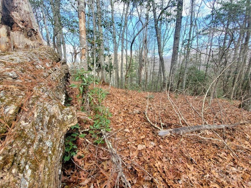 Lot at Bakersville, photo 28 of 38