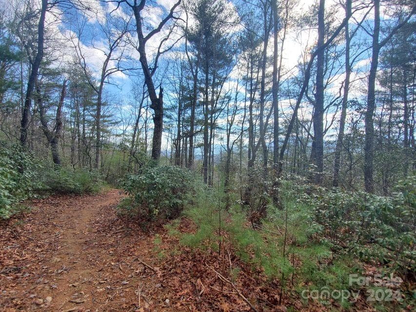 Lot at Bakersville, photo 29 of 38