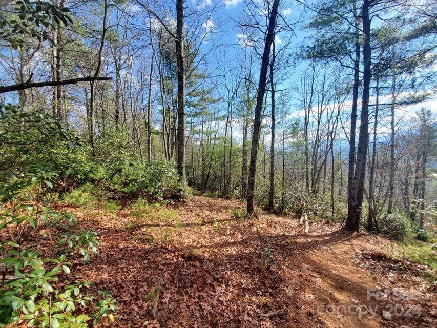 Lot at Bakersville, photo 31 of 38