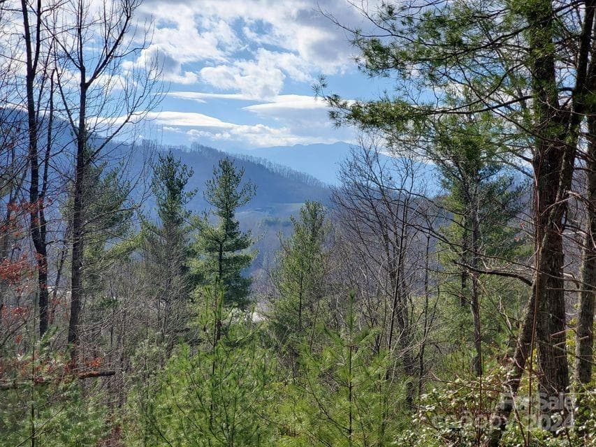 Lot at Bakersville, photo 32 of 38