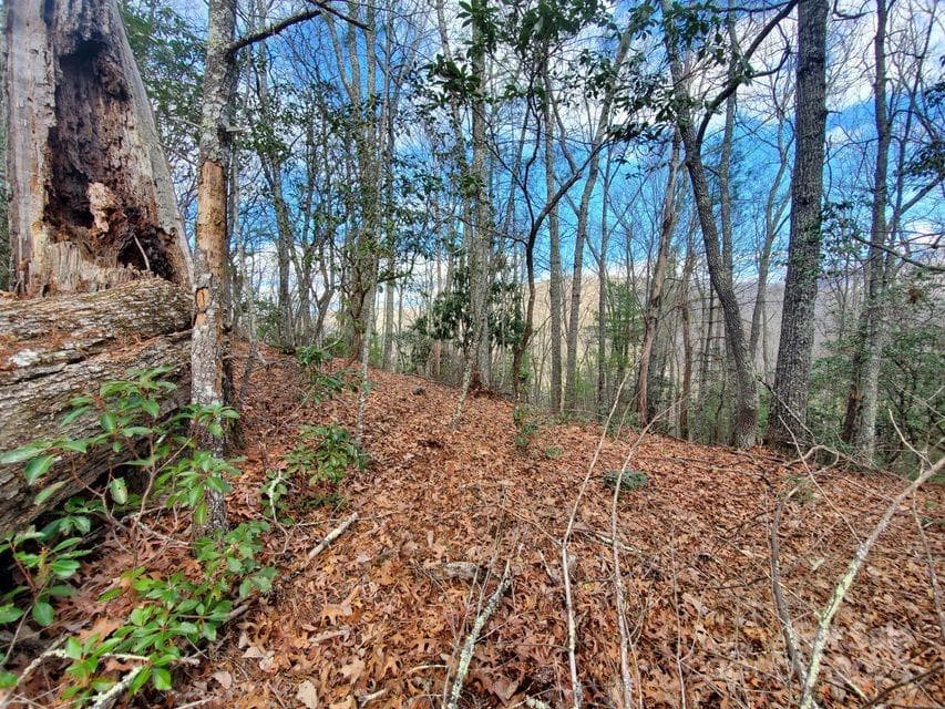 Lot at Bakersville, photo 34 of 38