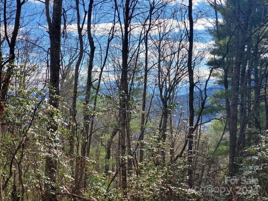 Lot at Bakersville, photo 37 of 38