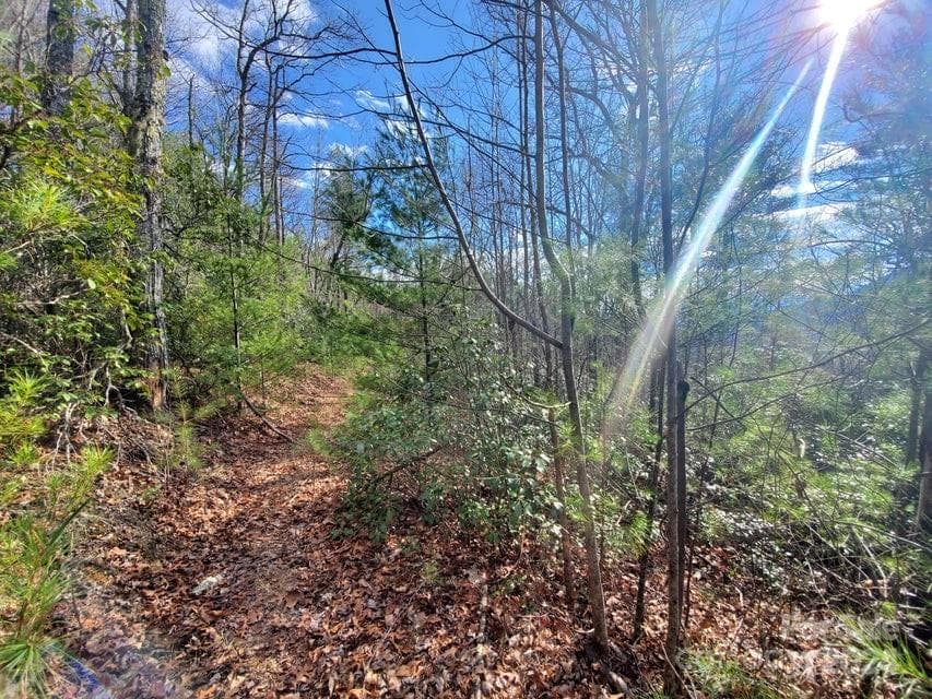 Lot at Bakersville, photo 38 of 38