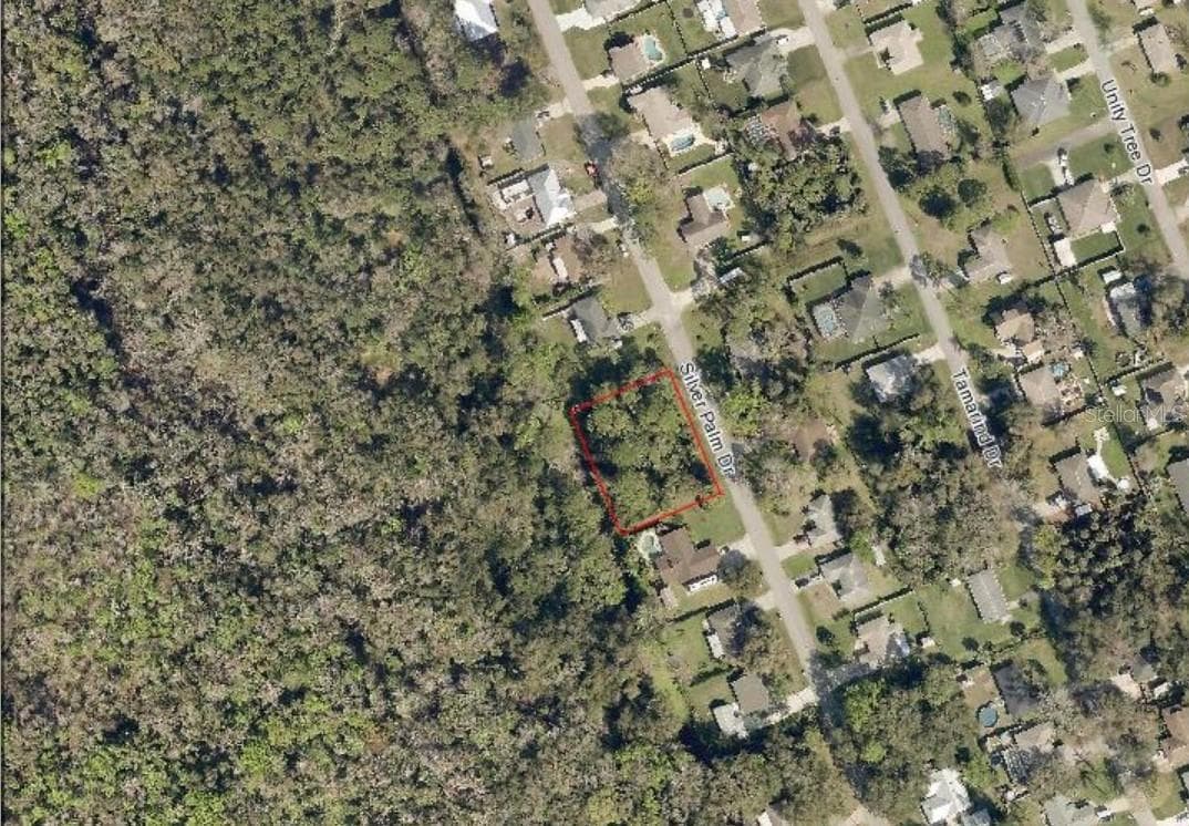 Land at SILVER PALM DR, EDGEWATER, photo 4 of 8
