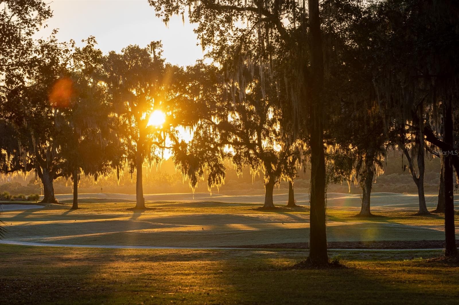 Golden Sunsrise - NW 31ST LANE RD, OCALA