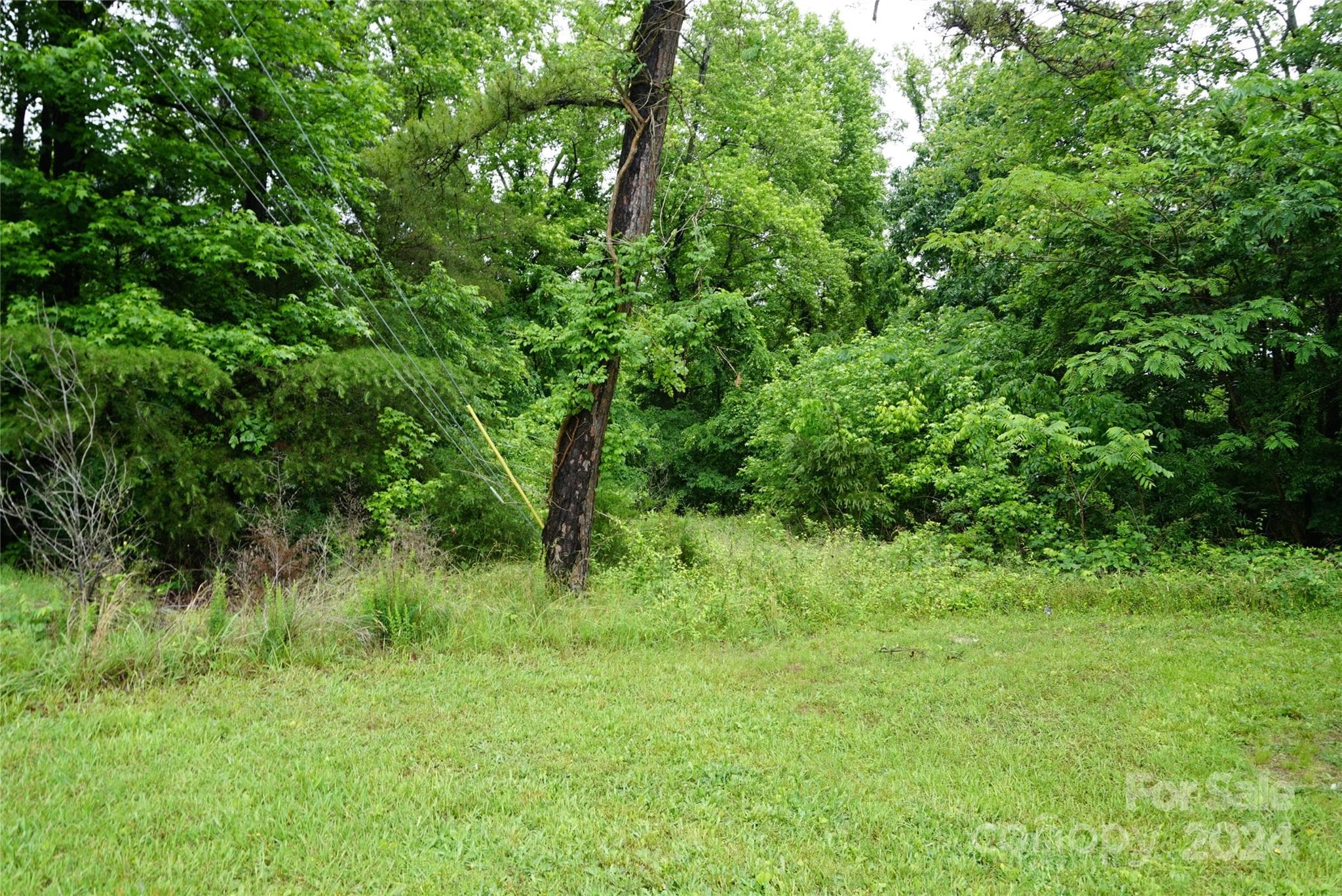 Unimproved Commercial at 253 N Urban Street, Thomasville, photo 13 of 16