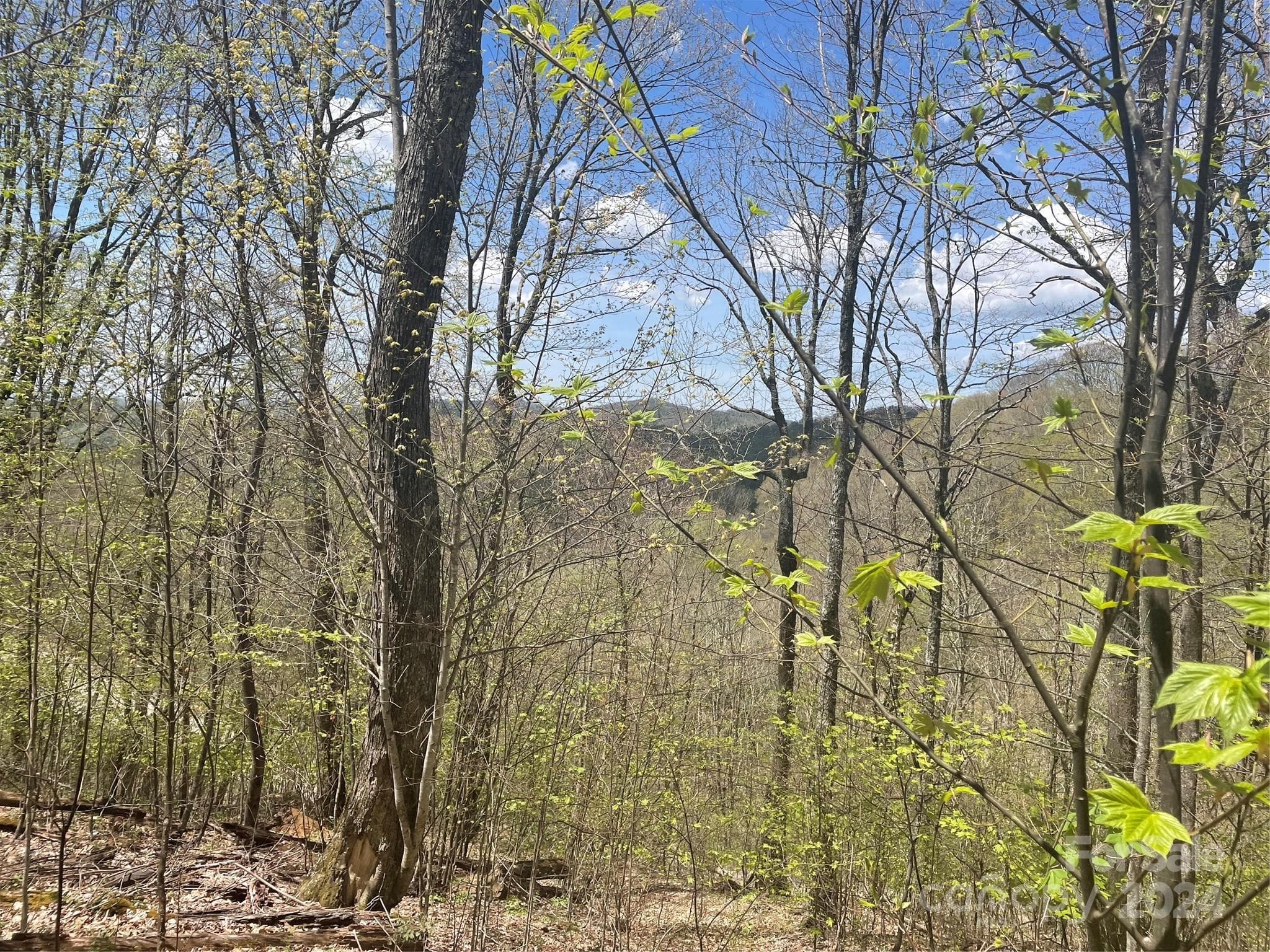 Lot at 000 El Miner Drive, Mars Hill, photo 3 of 30