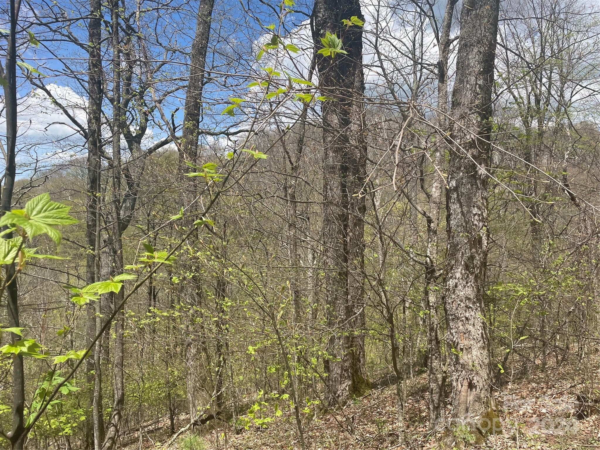 Lot at 000 El Miner Drive, Mars Hill, photo 4 of 30