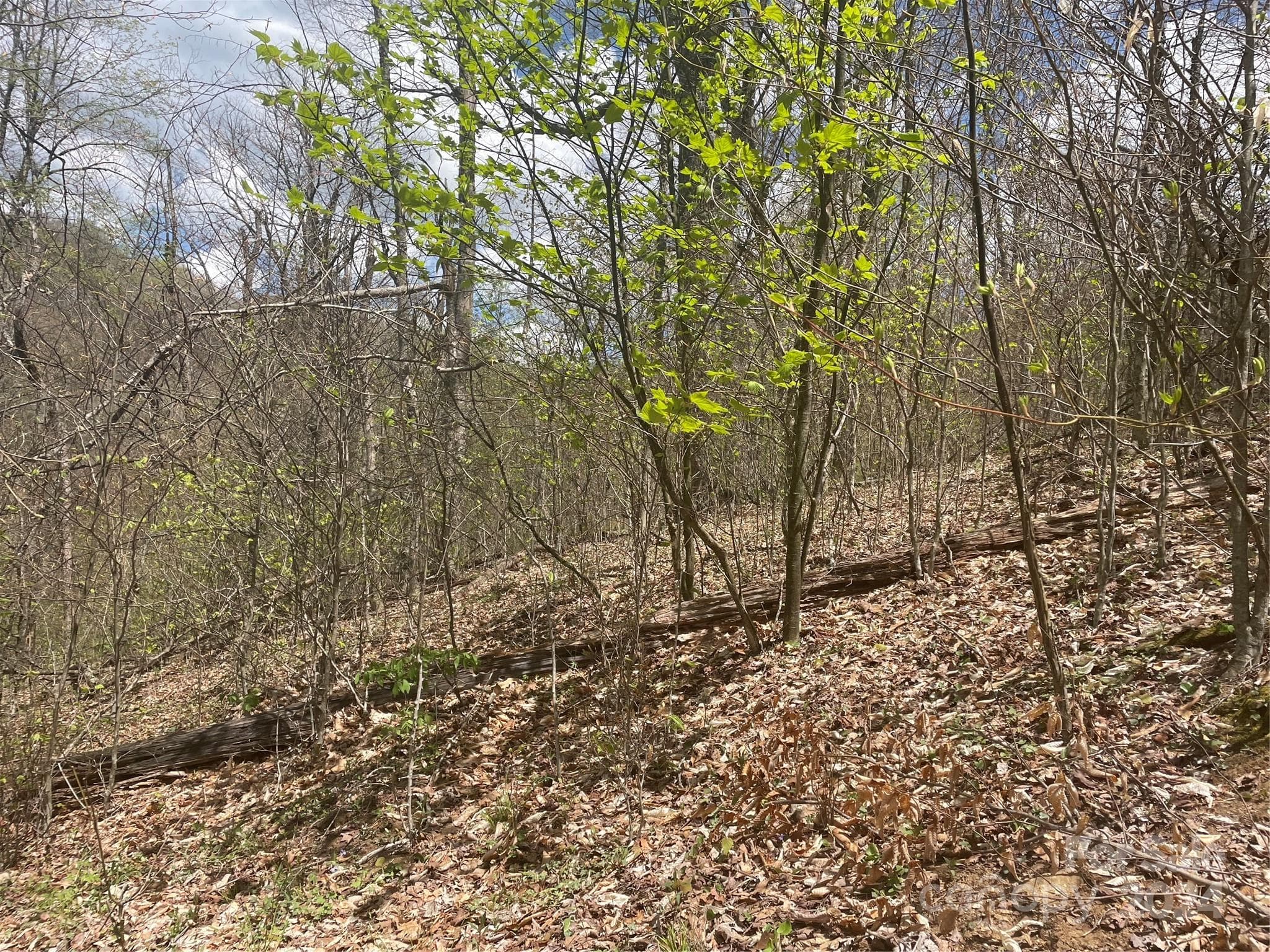 Lot at 000 El Miner Drive, Mars Hill, photo 5 of 30