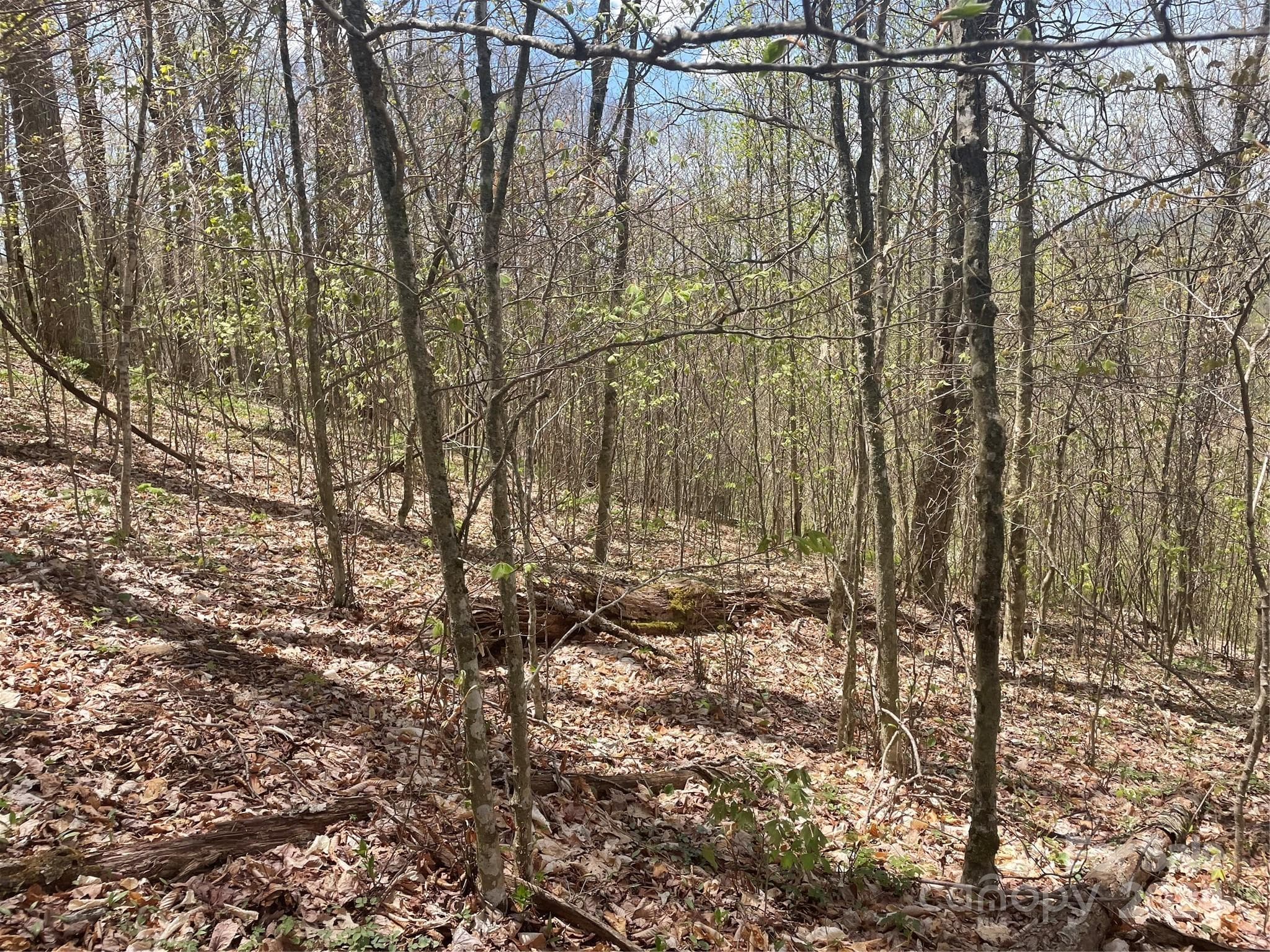 Lot at 000 El Miner Drive, Mars Hill, photo 12 of 30