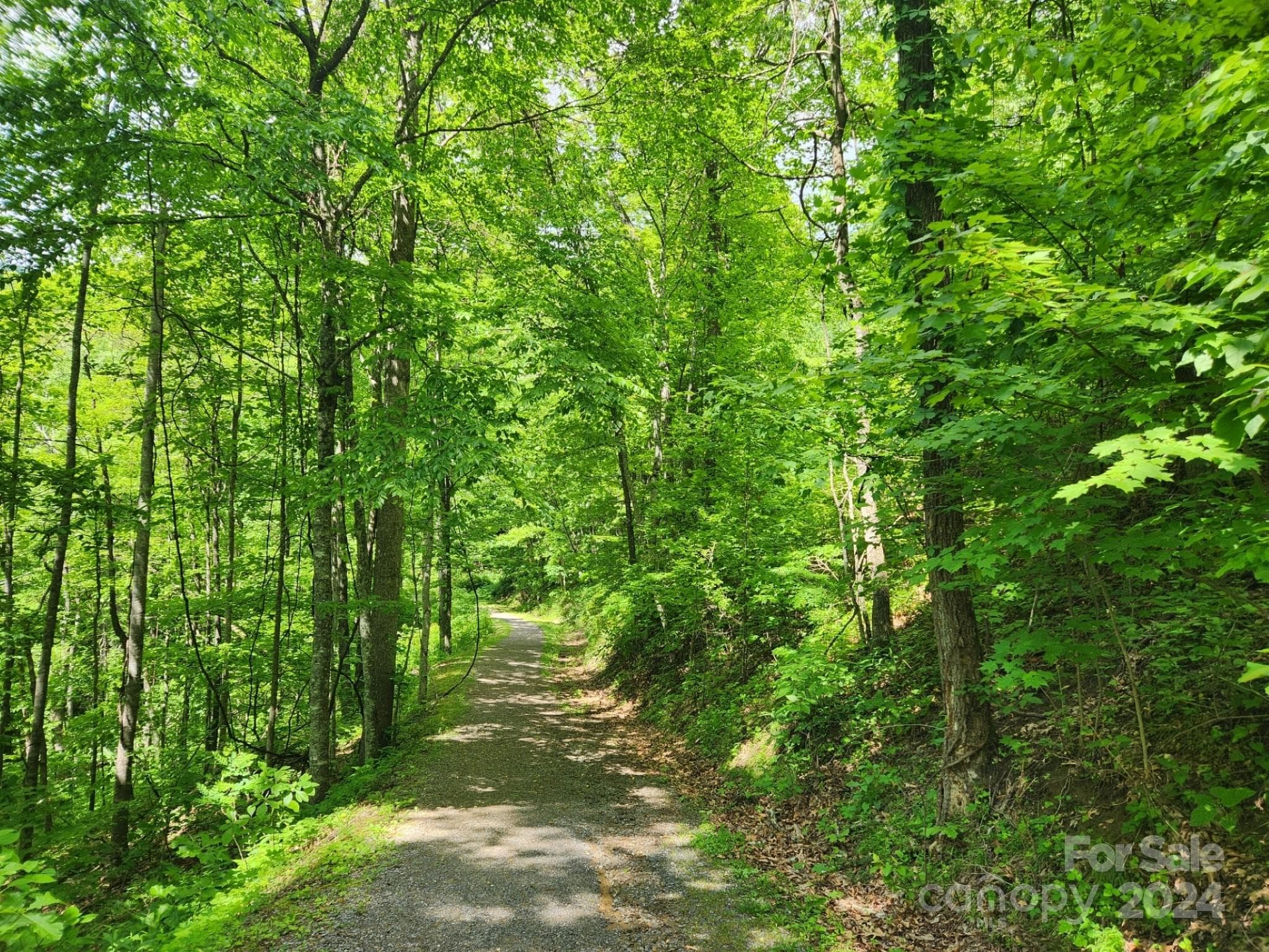 Trailhead leading to Lot #402 - 000 Chandra Lane, Leicester