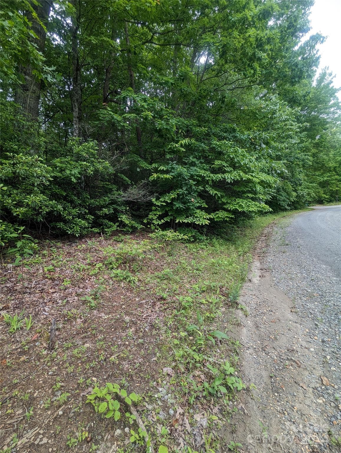 Lot at Lake Lure, photo 3 of 17