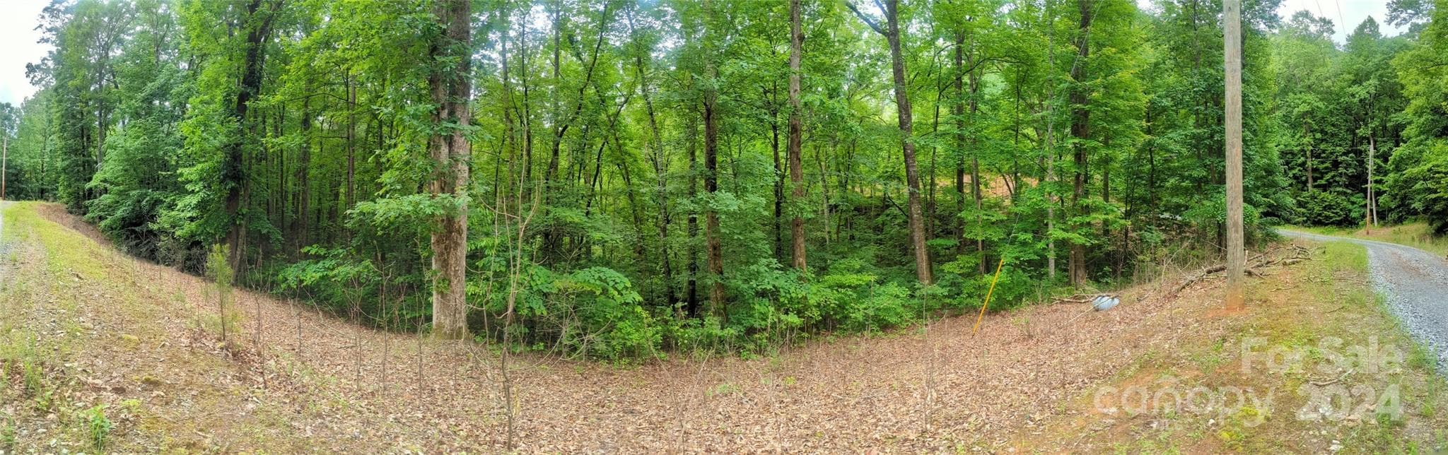 Lot at Lake Lure, photo 4 of 17
