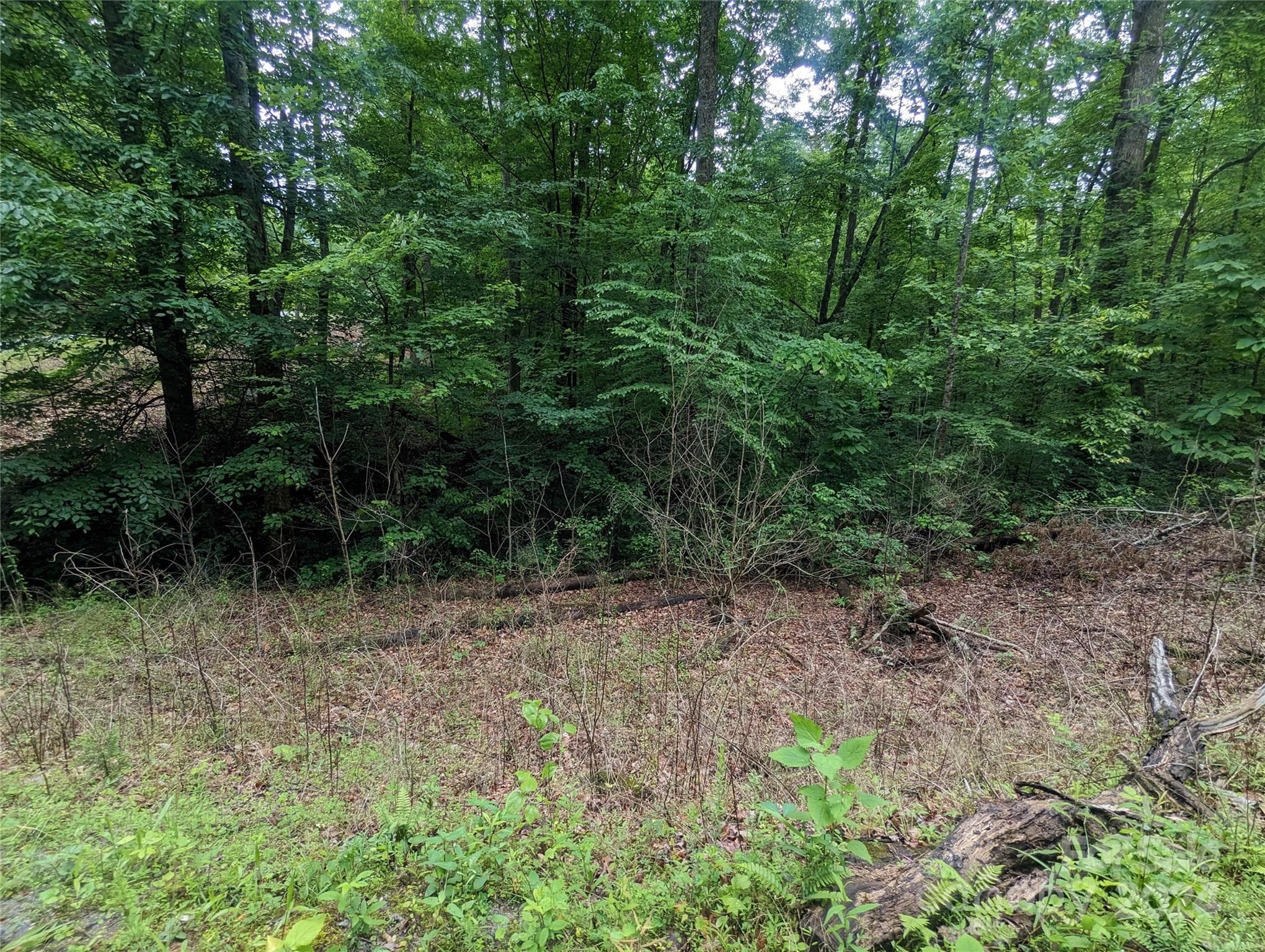 Lot at Lake Lure, photo 5 of 17