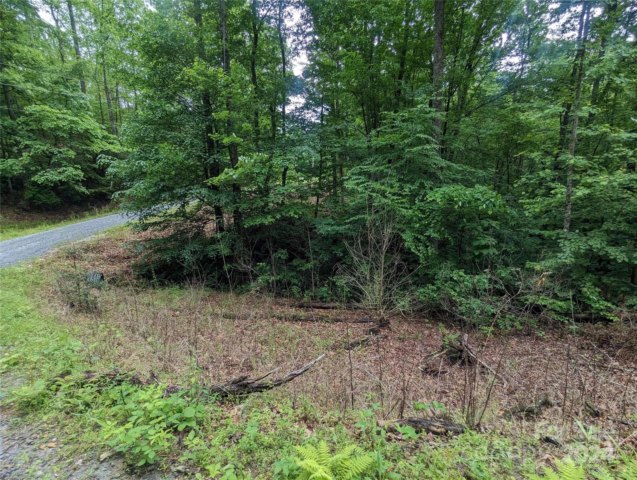 Lot at Lake Lure, photo 6 of 17