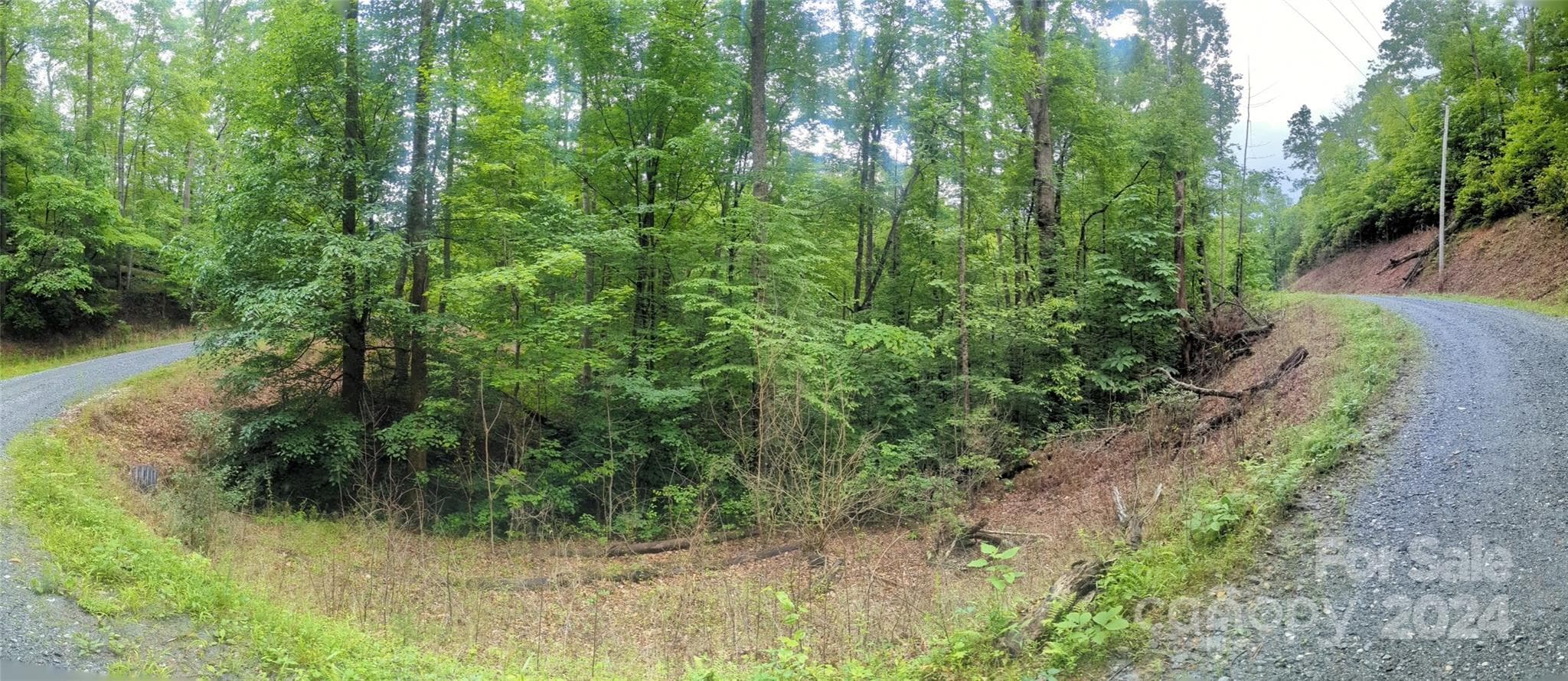 Lot at Lake Lure, photo 7 of 17