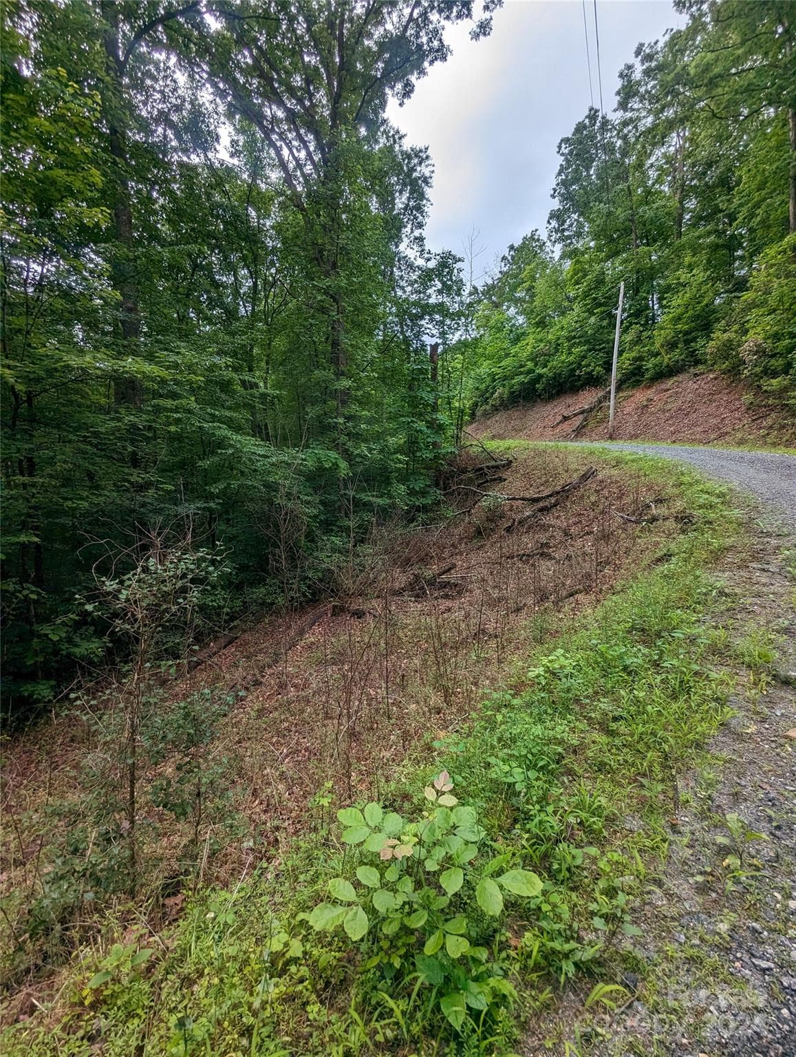 Lot at Lake Lure, photo 8 of 17
