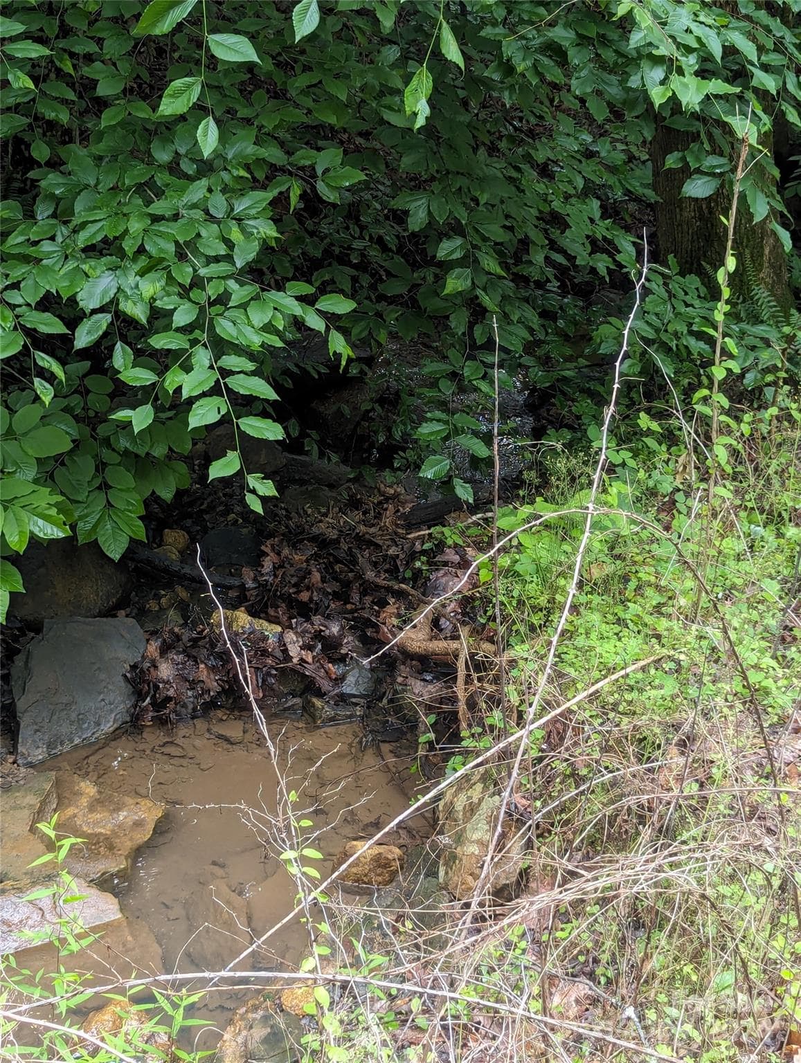 Lot at Lake Lure, photo 9 of 17