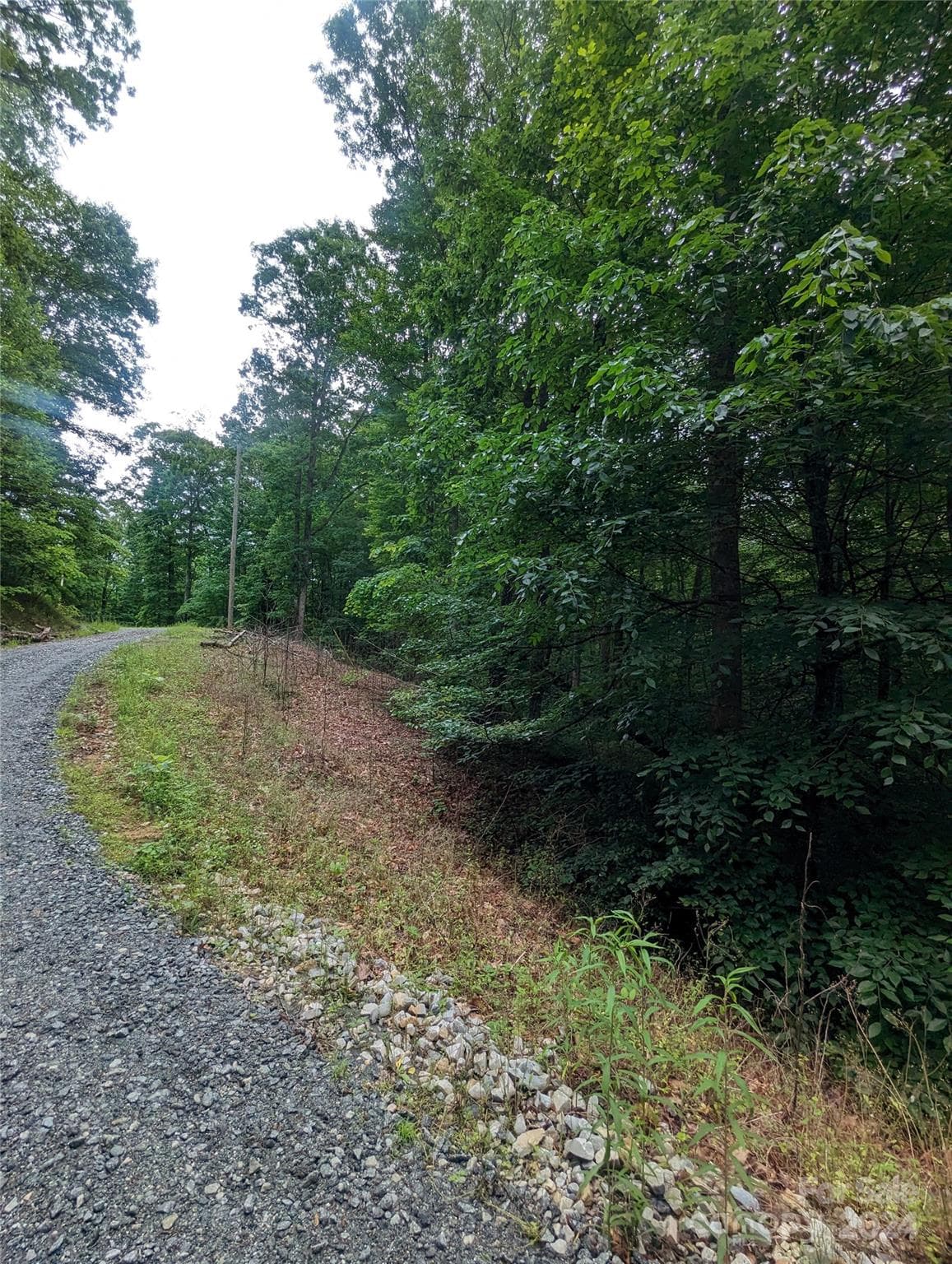 Lot at Lake Lure, photo 10 of 17