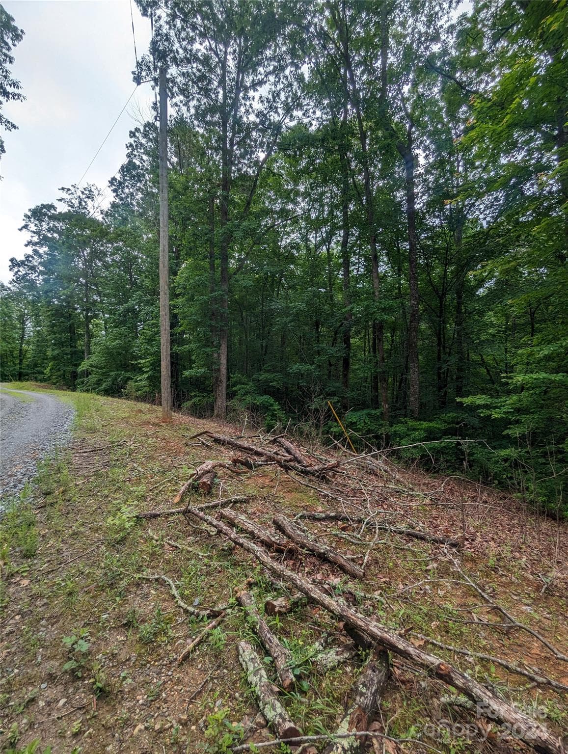 Lot at Lake Lure, photo 12 of 17