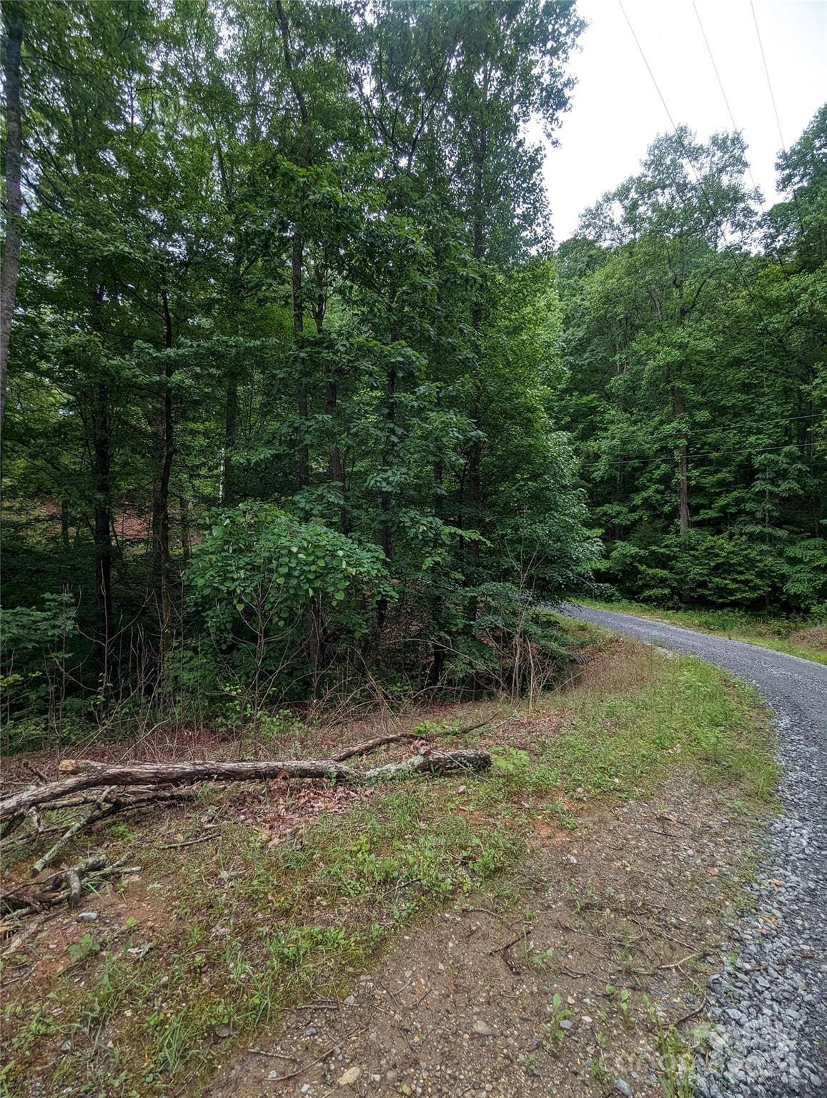 Lot at Lake Lure, photo 13 of 17