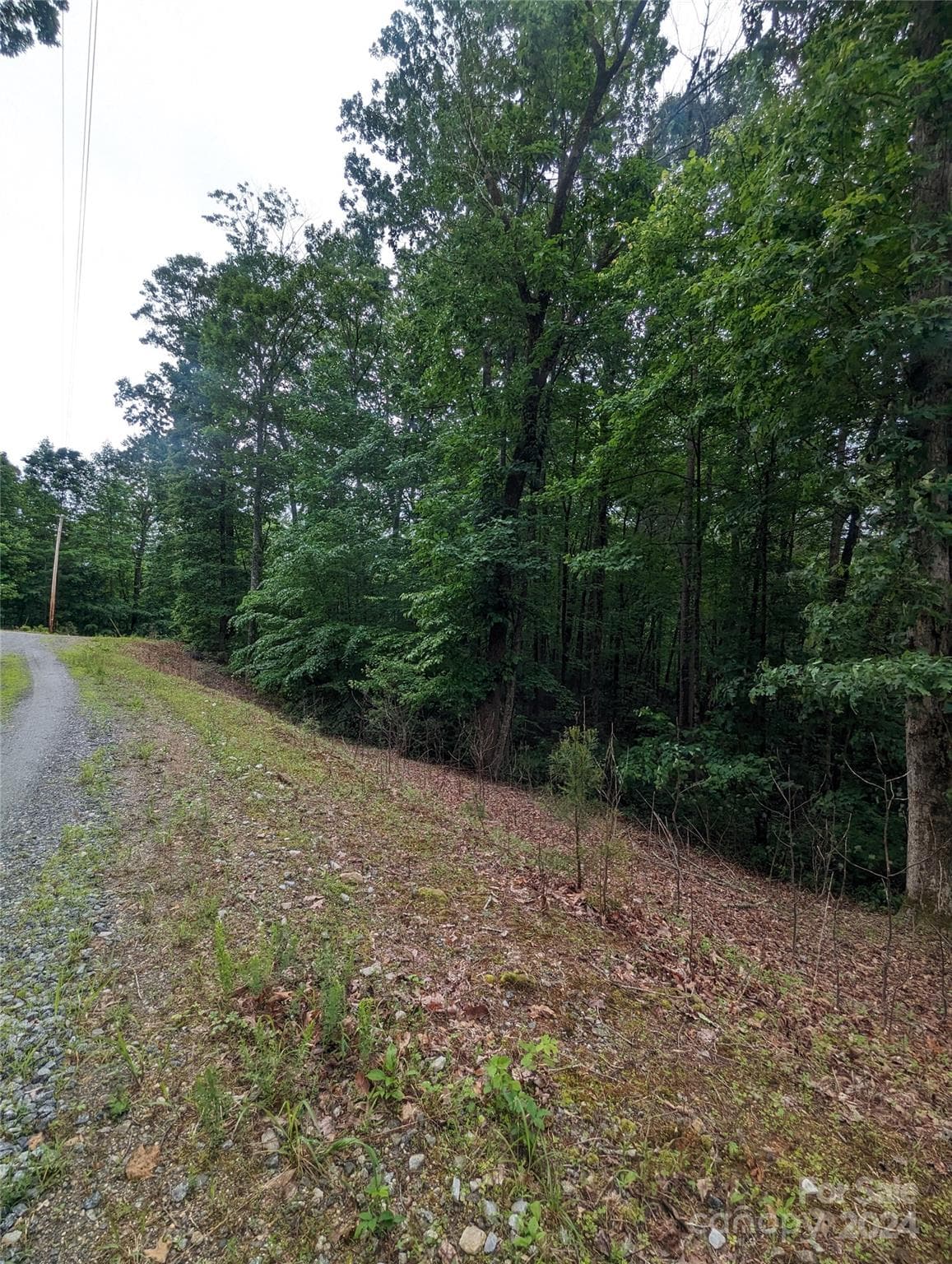 Lot at Lake Lure, photo 14 of 17