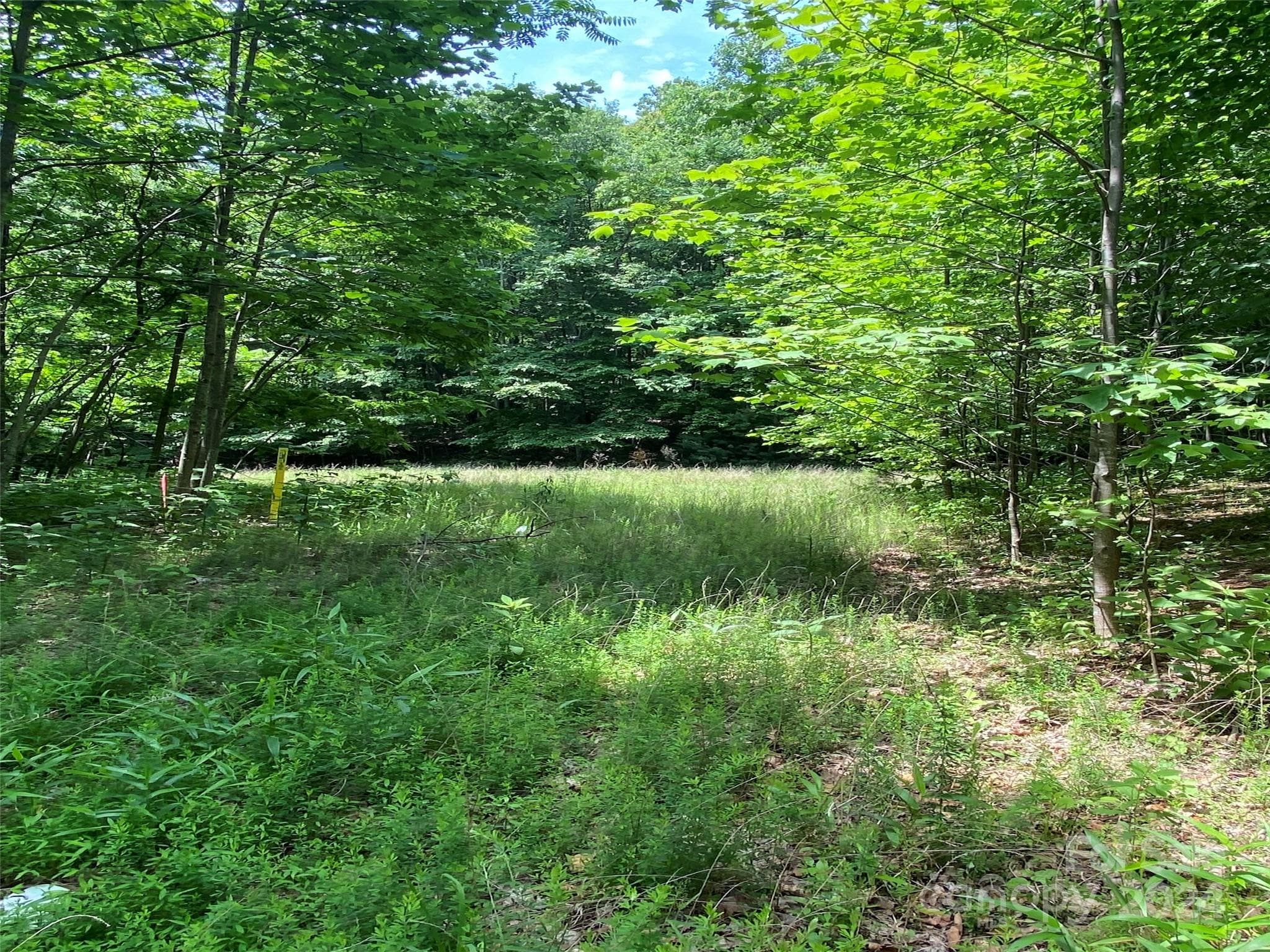 Lot at Mill Spring, photo 2 of 11