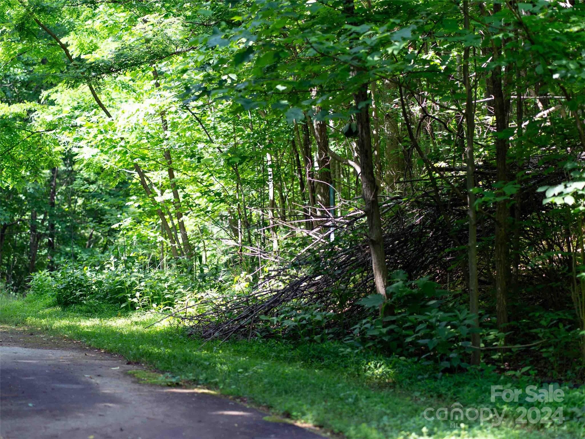 Lot at Mill Spring, photo 3 of 11