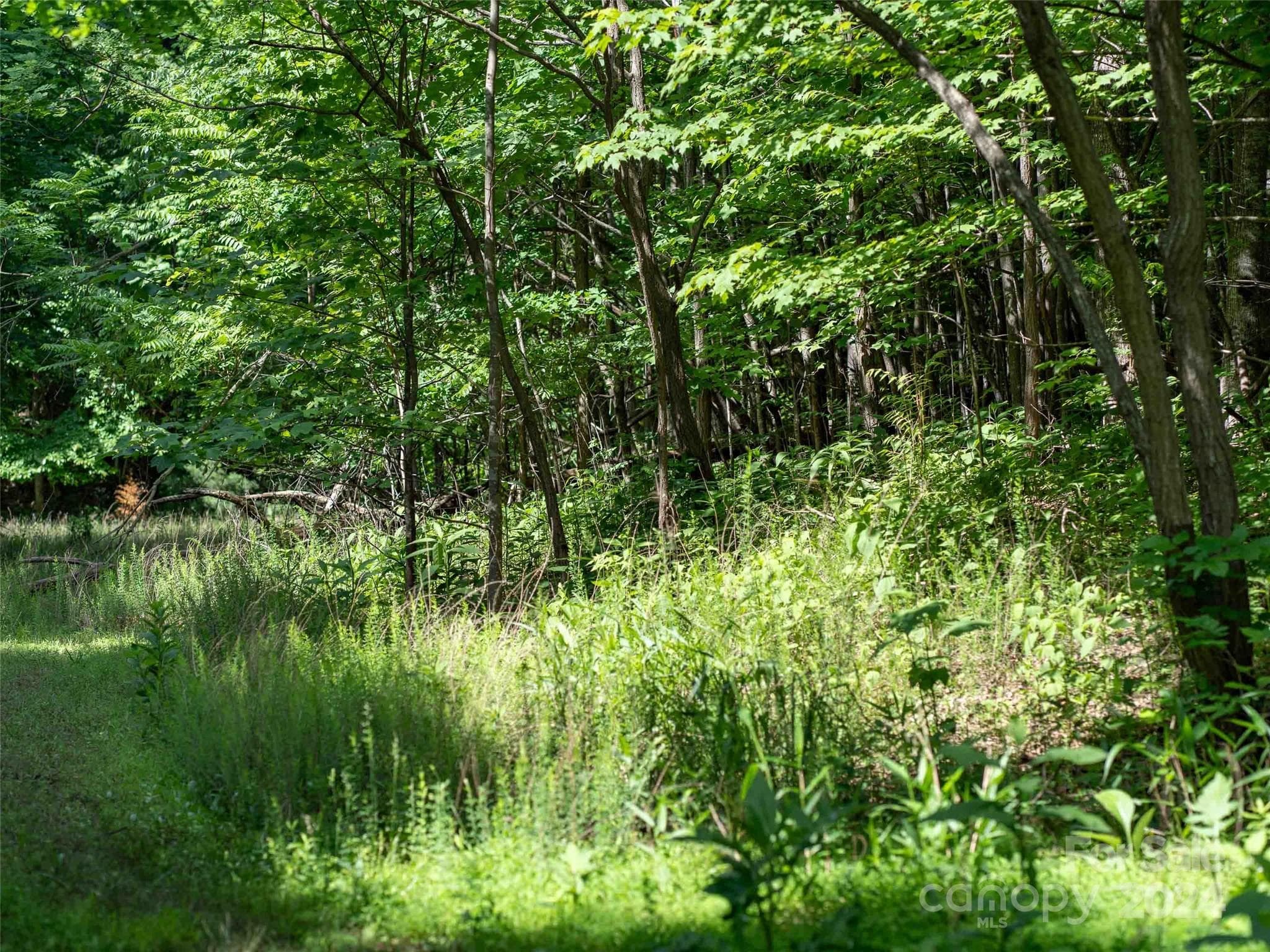 Lot at Mill Spring, photo 4 of 11