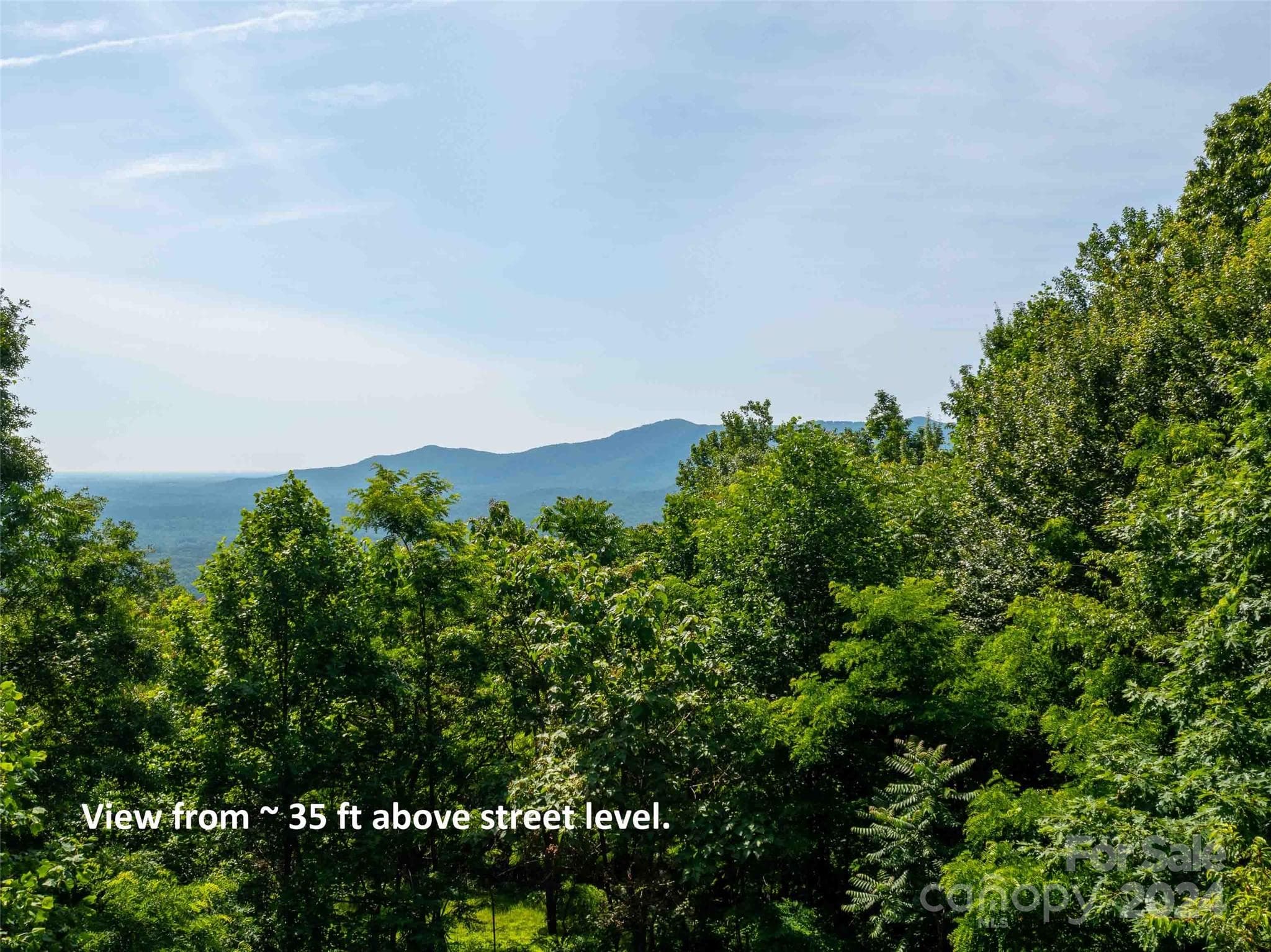 Lot at Mill Spring, photo 7 of 11