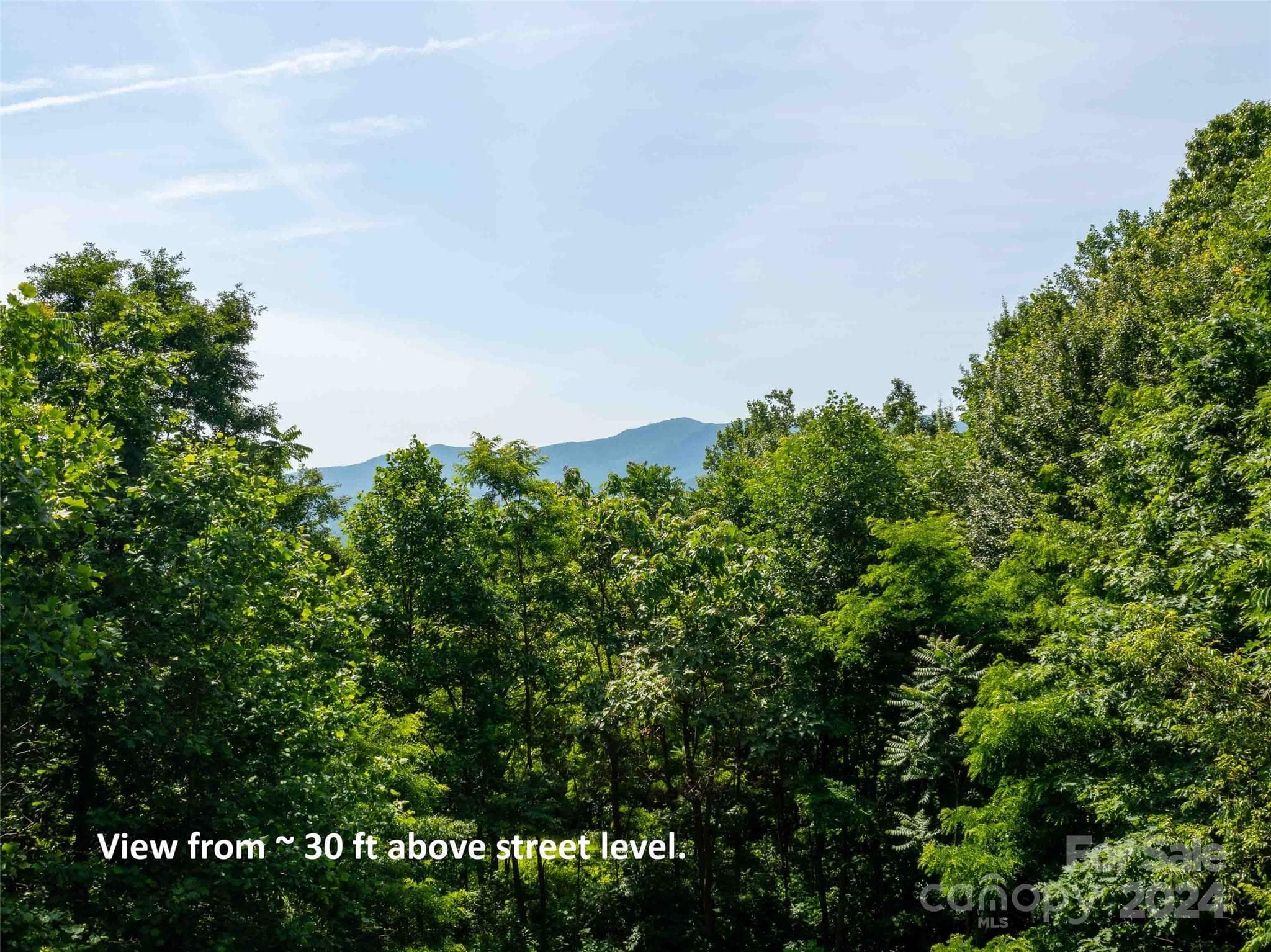 Lot at Mill Spring, photo 8 of 11