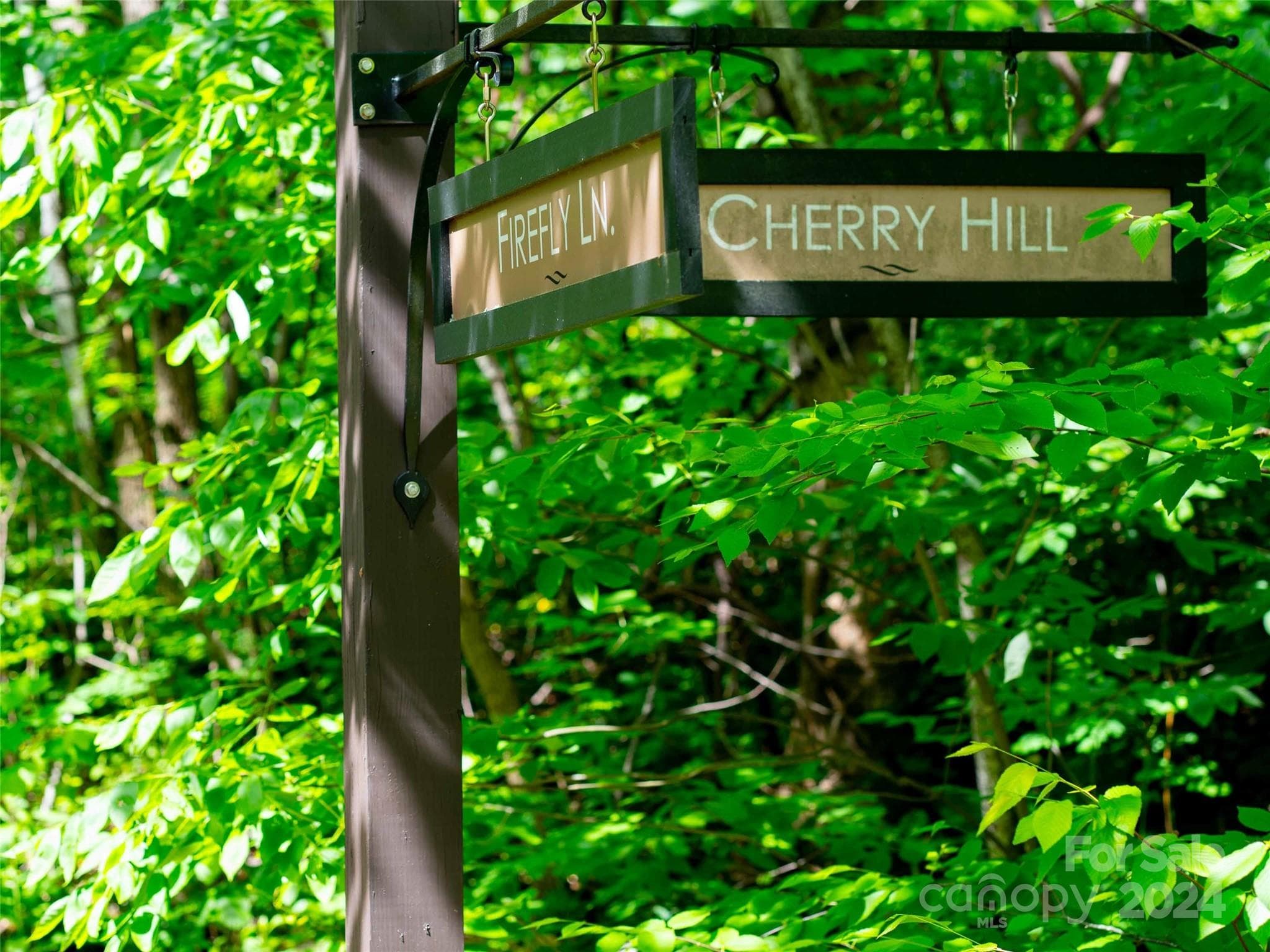 Lot at Mill Spring, photo 9 of 11