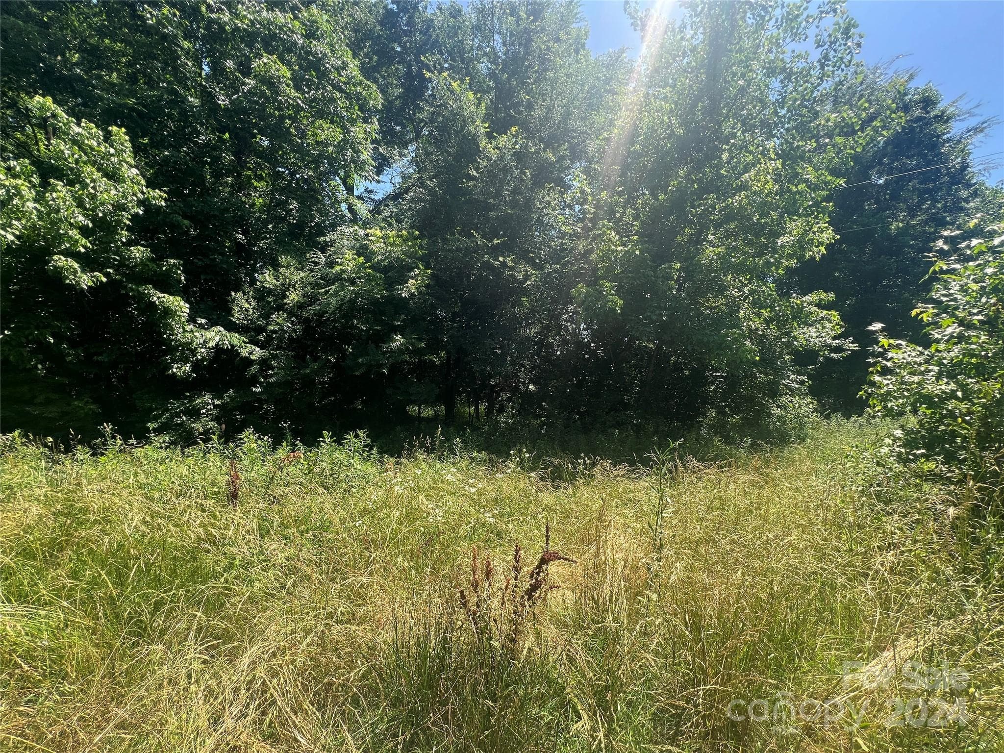 Lot at Matthews, photo 2 of 2