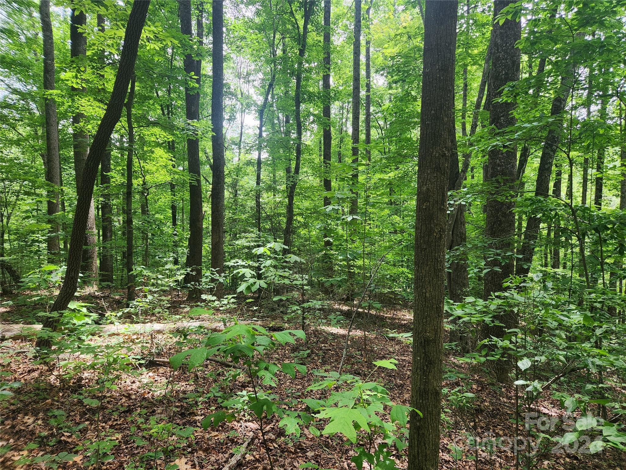 Lot at 00 Trail Ridge Drive, Marion, photo 4 of 6