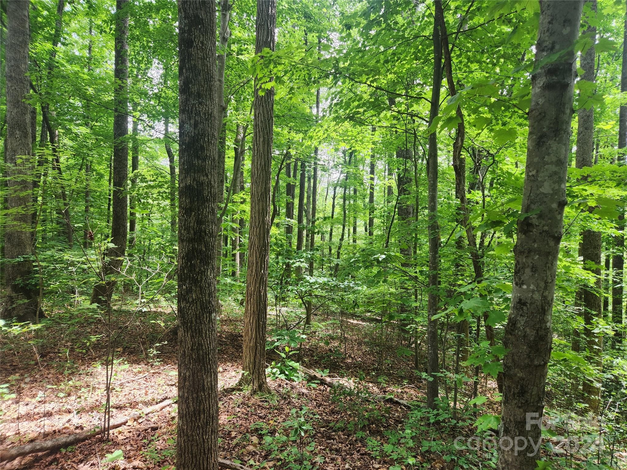 Lot at 00 Trail Ridge Drive, Marion, photo 6 of 6