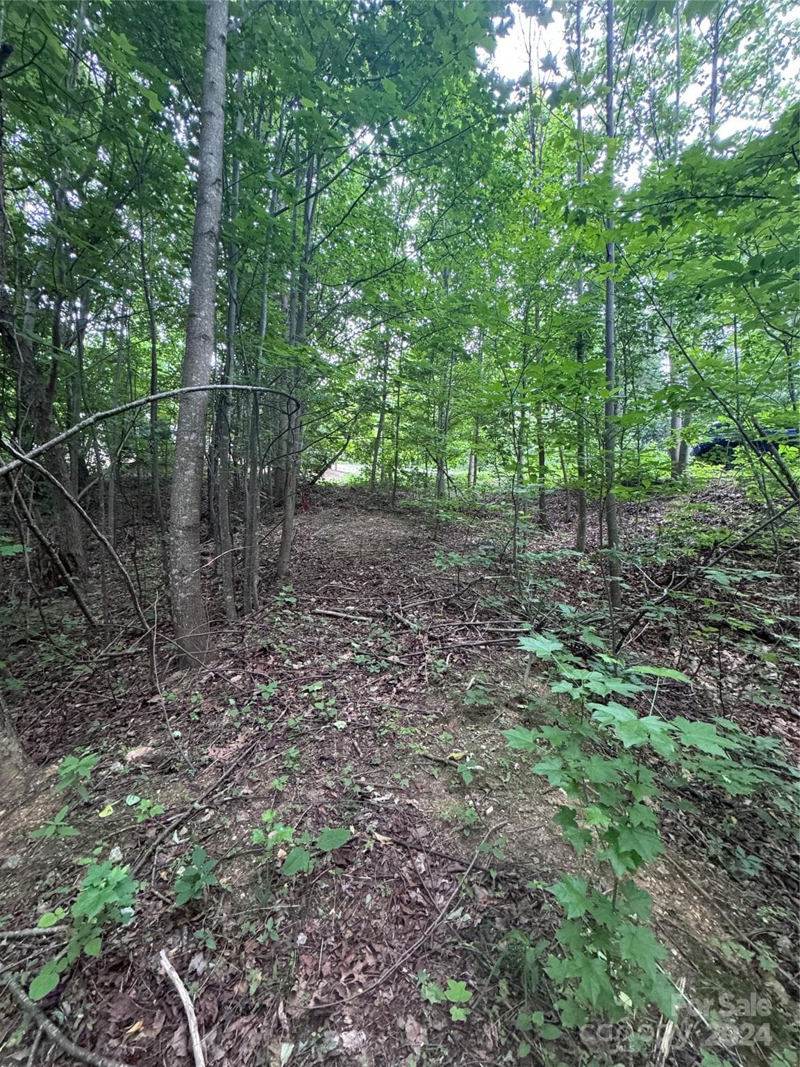 Lot at 0 Holland Drive, Columbus, photo 2 of 31