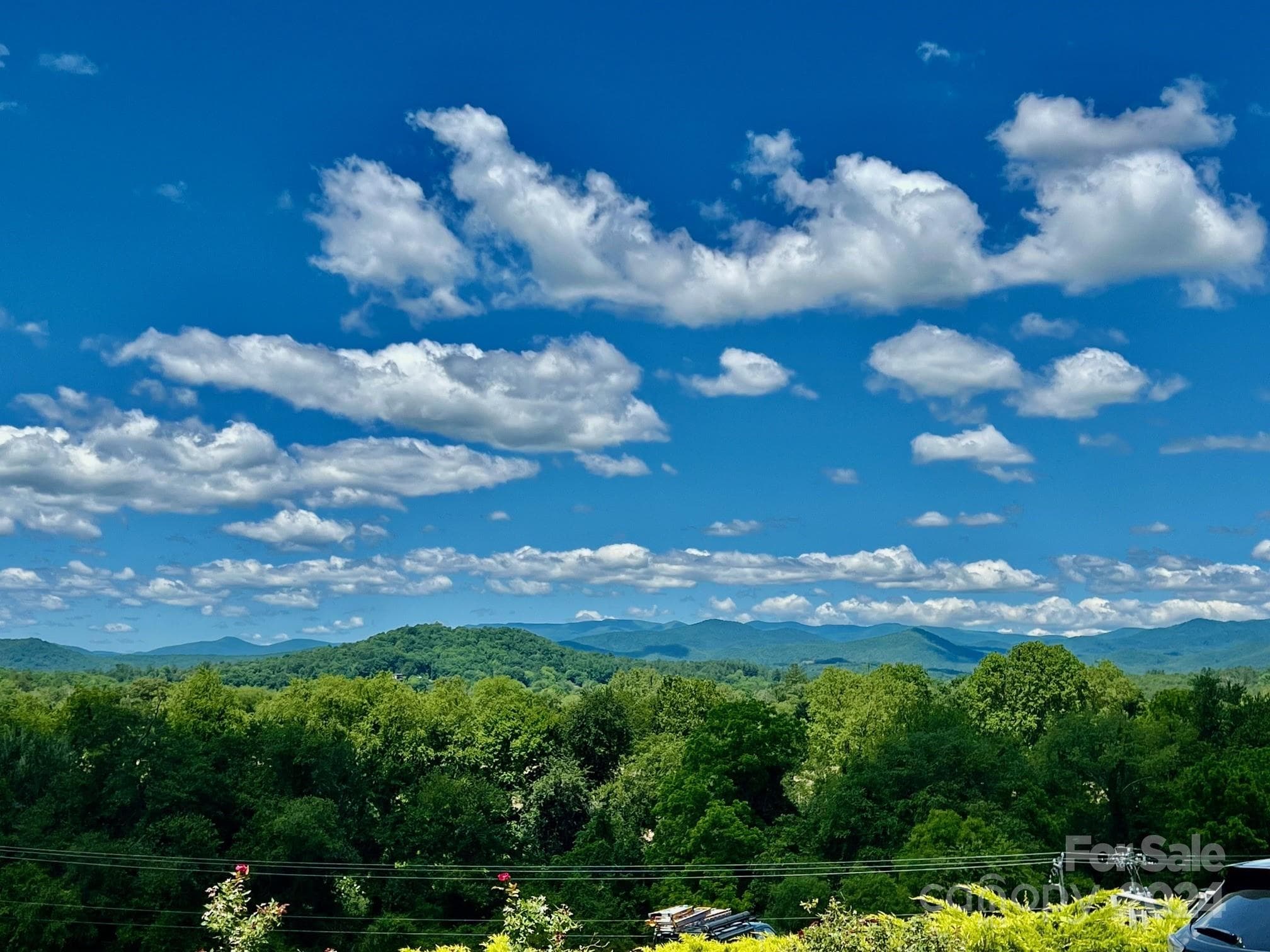 Mountain views from many residences and throughout the community. - Hendersonville