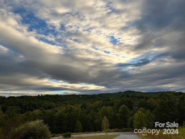 Lot at 00 Stow-A-Way Drive, Nebo, photo 2 of 9