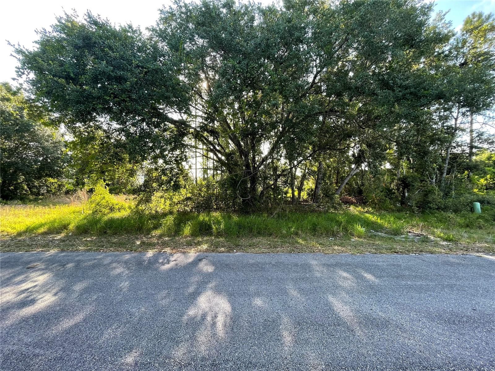 Front View - 1613 TENCH CT, POINCIANA