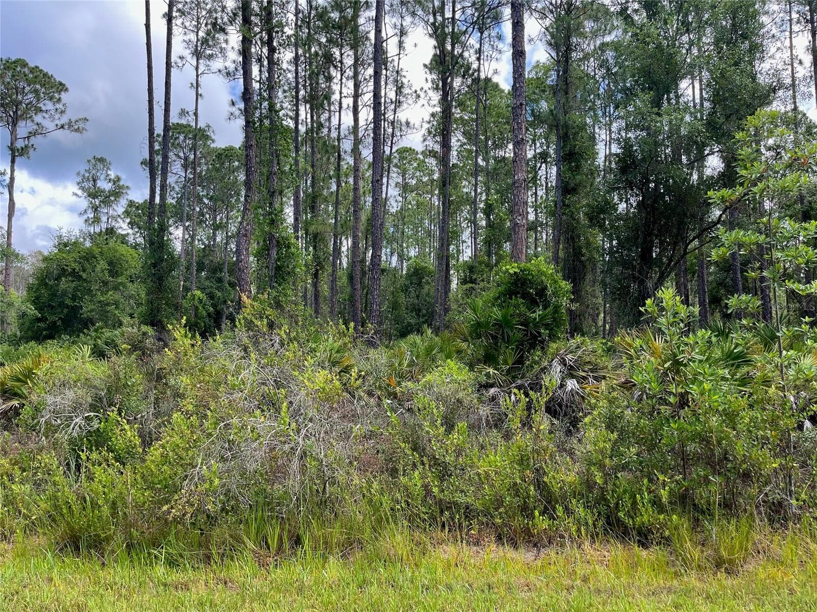Land at 222 MARIE AVE, GEORGETOWN, photo 10 of 13