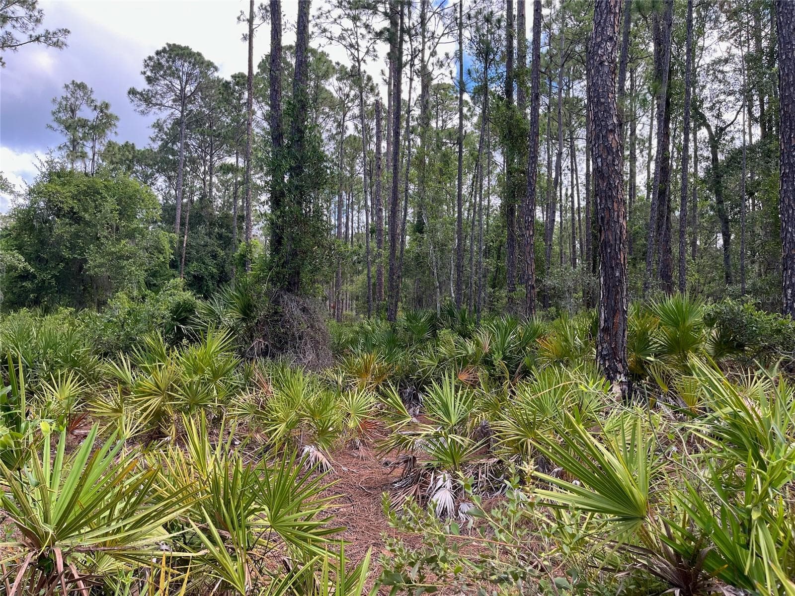 Land at 222 MARIE AVE, GEORGETOWN, photo 2 of 13