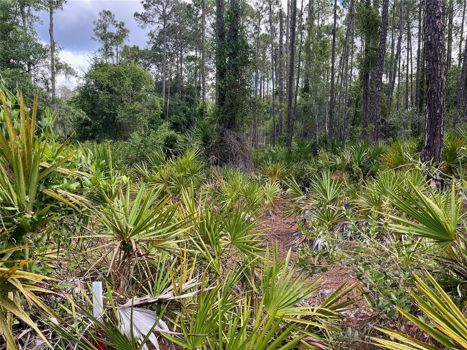 Land at 222 MARIE AVE, GEORGETOWN, photo 3 of 13