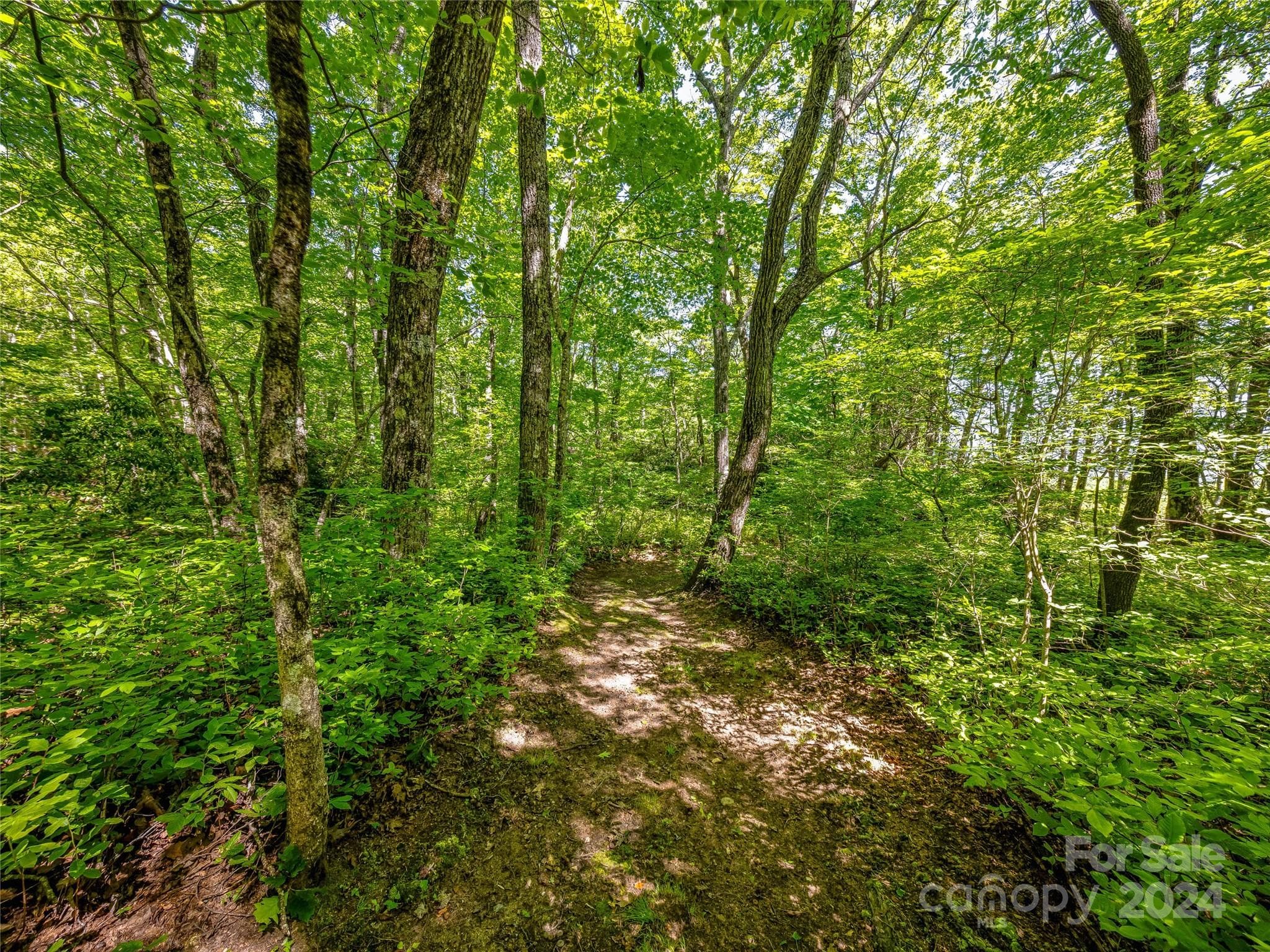 Lot at Lake Toxaway, photo 4 of 11