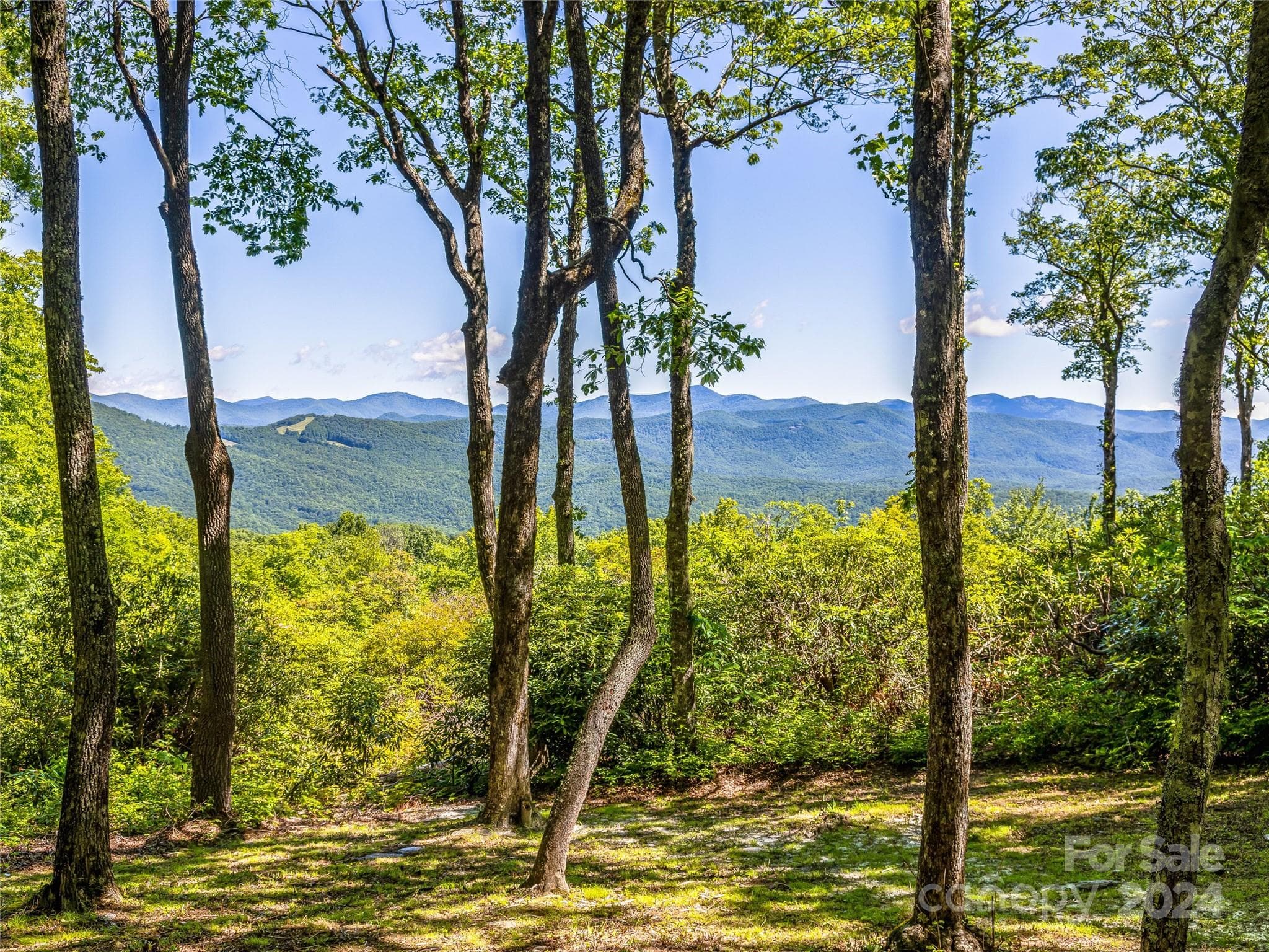 Lot at Lake Toxaway, photo 5 of 11