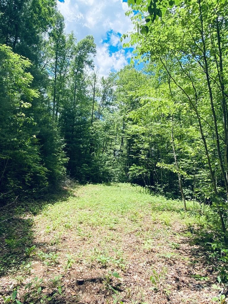 Lot at 34 Grouse Haven Lane, Sylva, photo 10 of 32