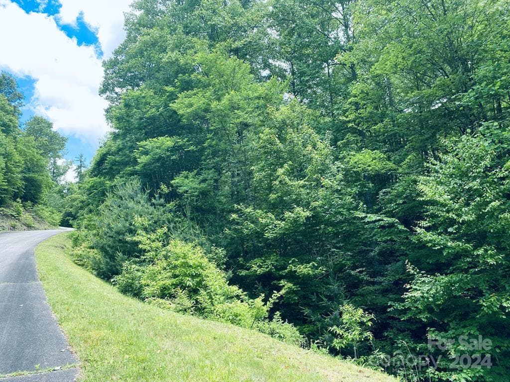 If you chose to come into the property from Garnet Rd., you'd have to build a bridge so Grouse Haven is the best entrance. - 34 Grouse Haven Lane, Sylva