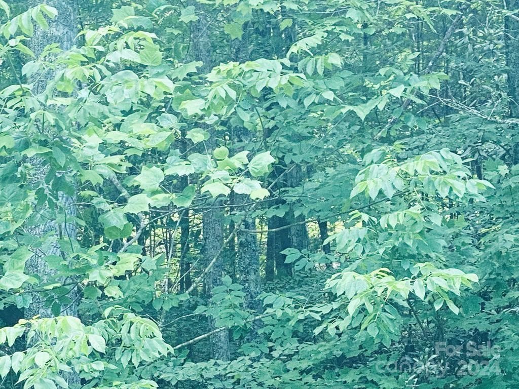 See house pad through the trees from Garnet Rd. - 34 Grouse Haven Lane, Sylva
