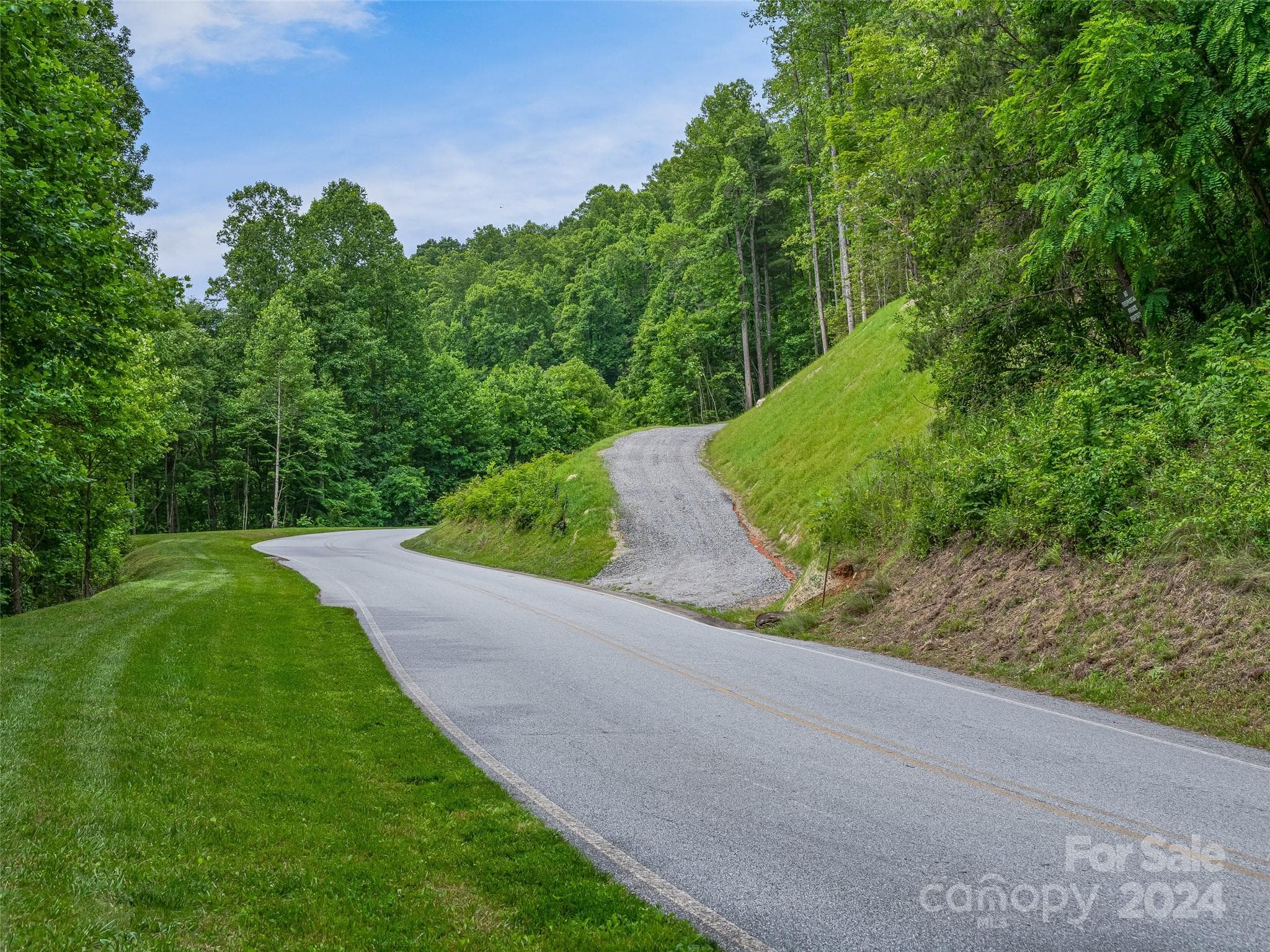 Lot at 99999 Cliffsridge Parkway, Arden, photo 4 of 23