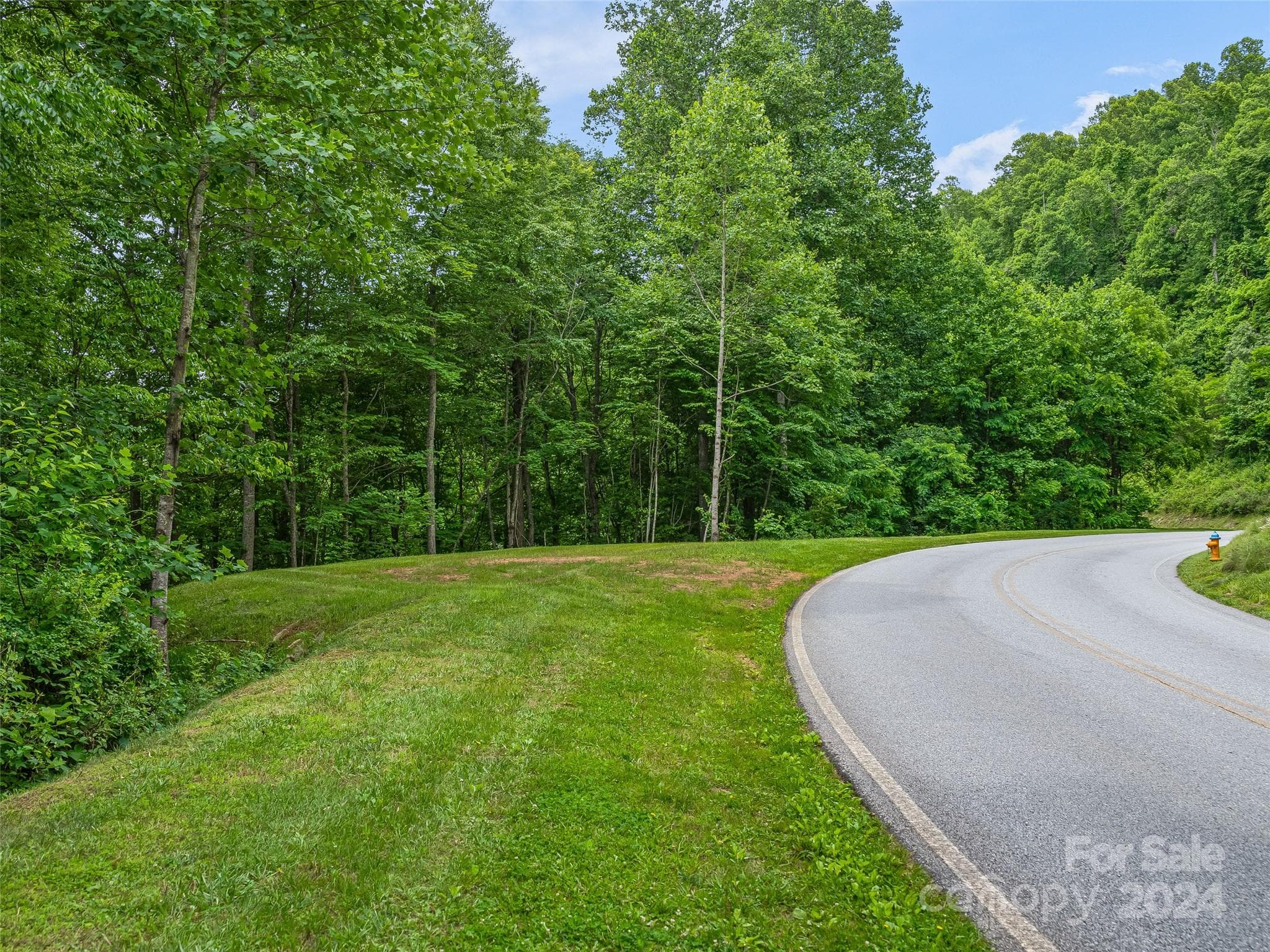 Lot at 99999 Cliffsridge Parkway, Arden, photo 5 of 23